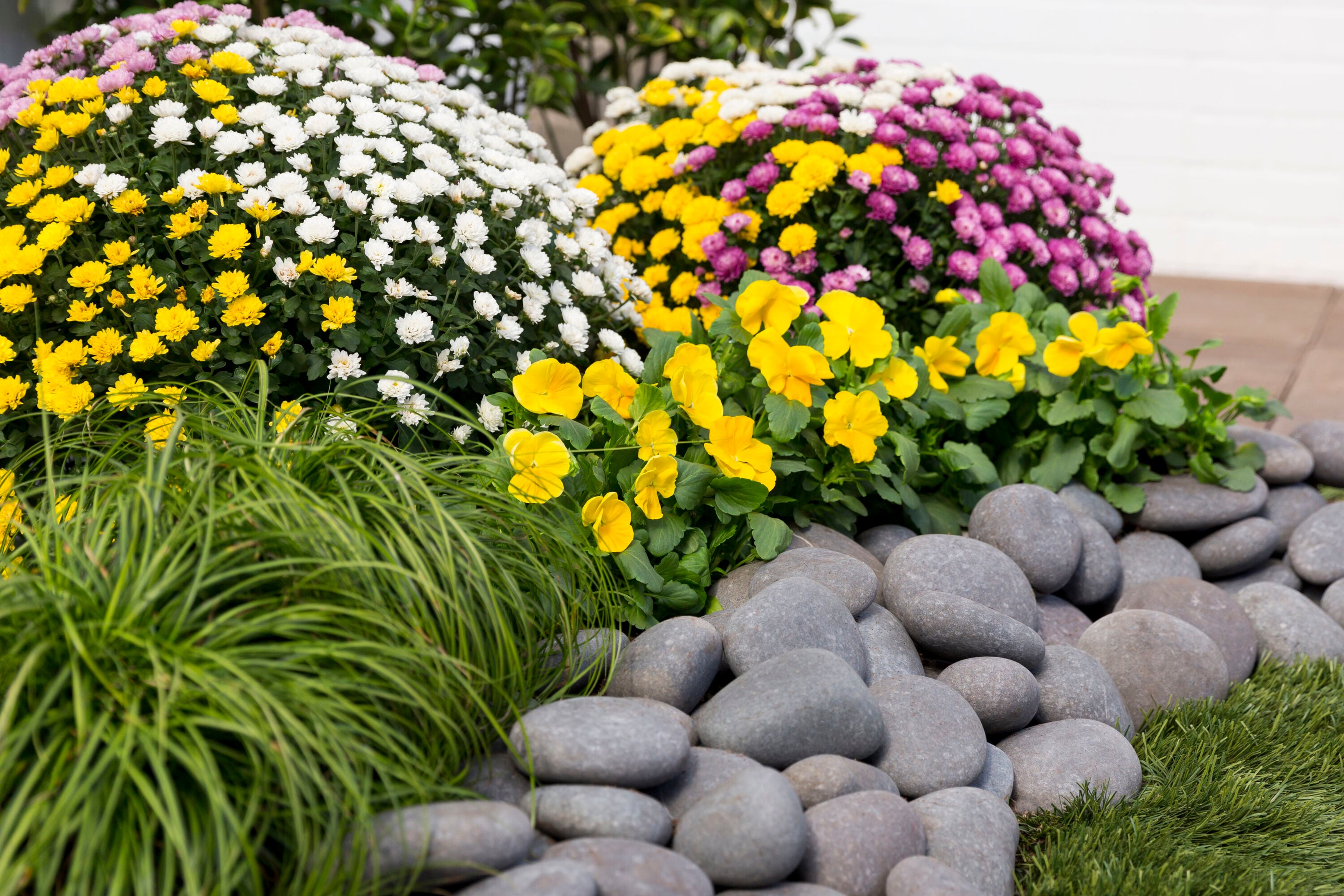 Ready Refill NURSERY annuals - View #4
