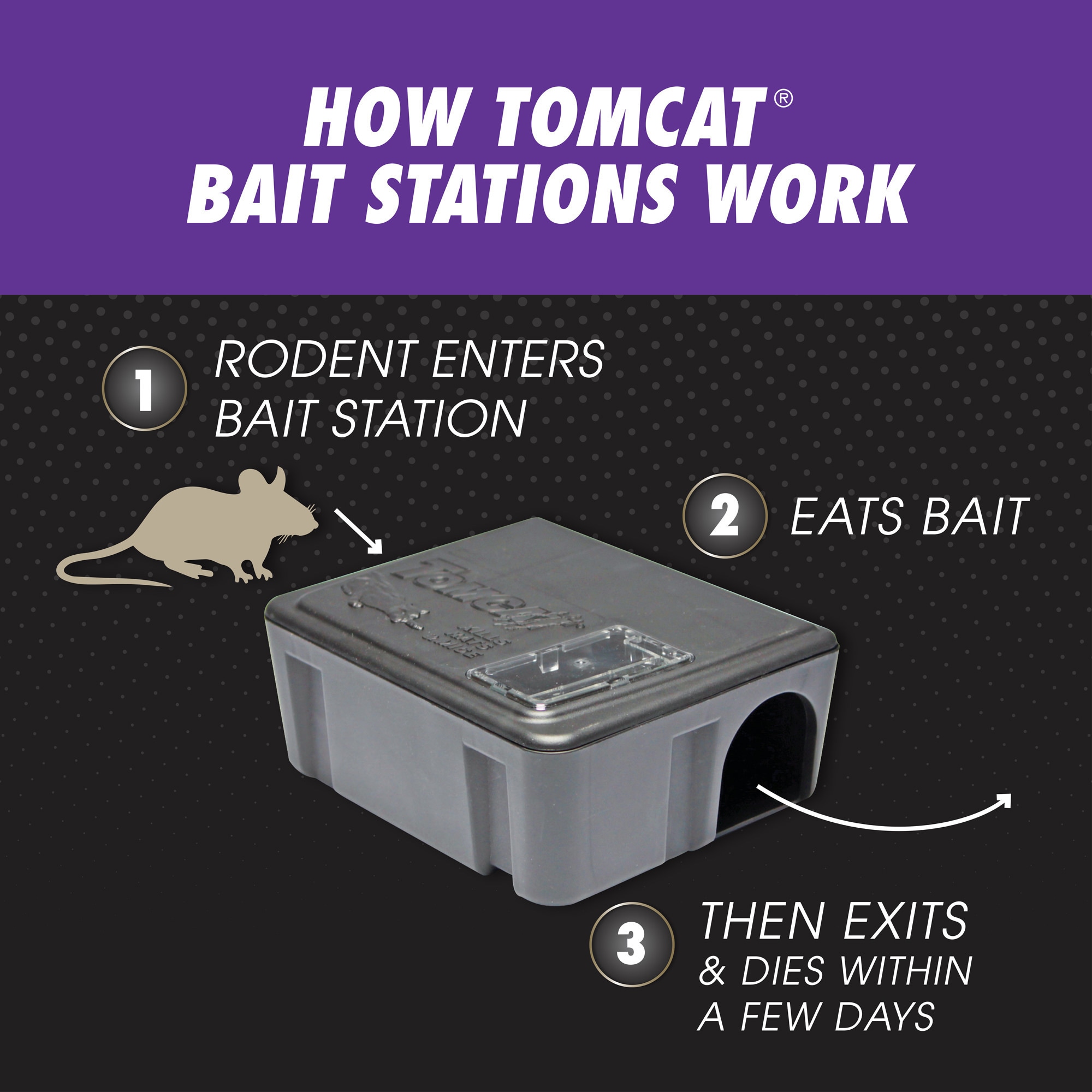 TOMCAT Refillable Bait Station Mouse Killer (16-Refill) - McDaniel's Do it  Center