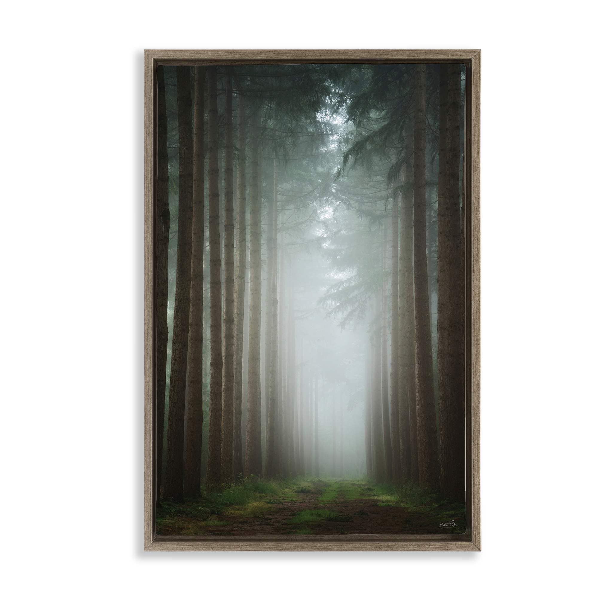 Stupell Industries BT-591-FFE-16X24 Moonlight Through Dark Forest Brown Framed Floater Canvas Wall Art By Martin Podt 17 x 25