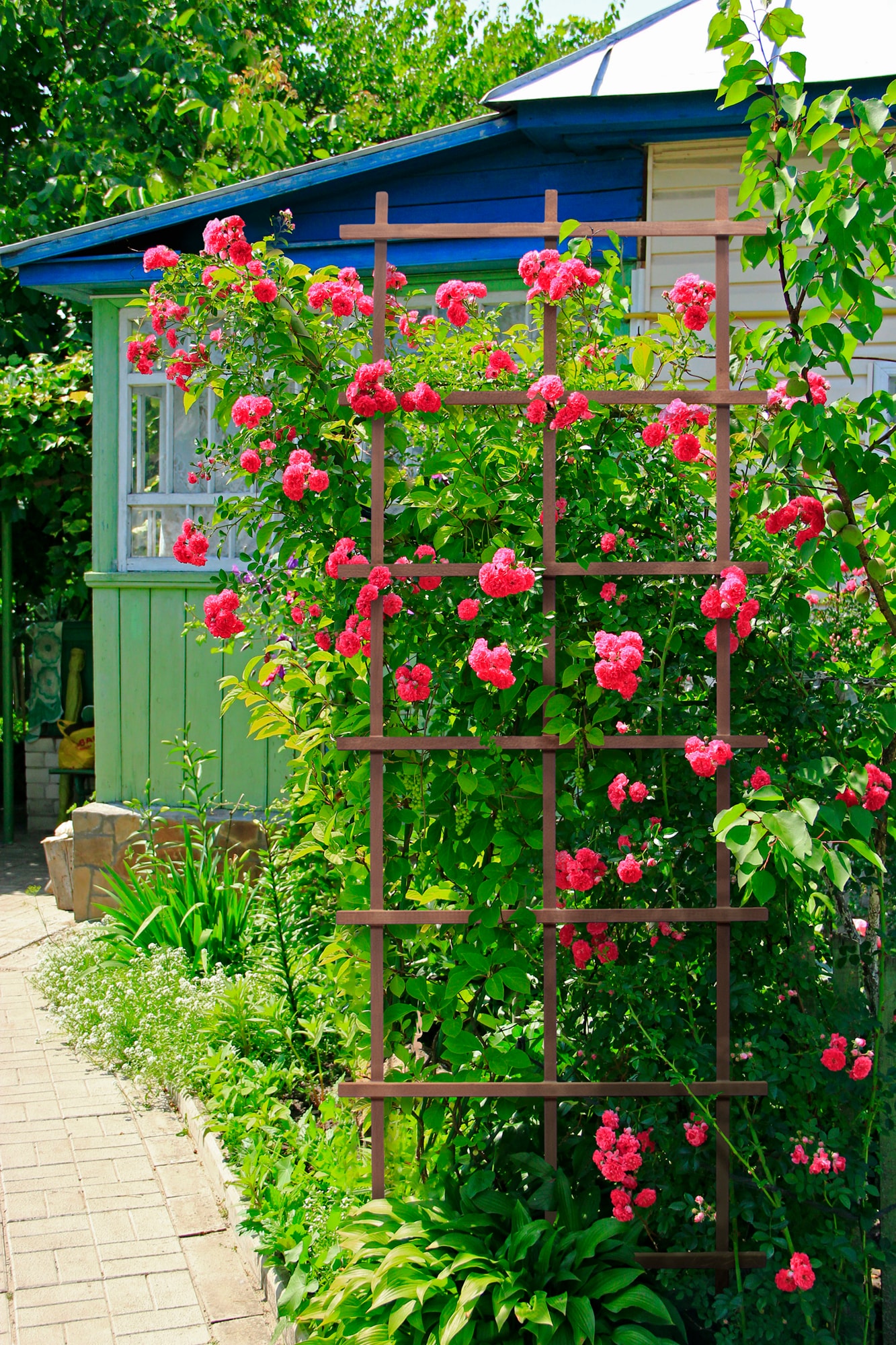 Outdoor Essentials 427538 Garden-Trellis - View #5
