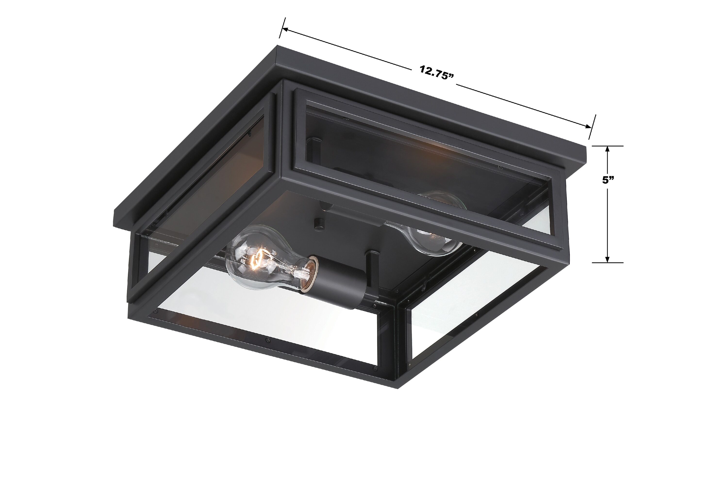 Matte Black and Clear Glass 2-Light Outdoor Flush Mount