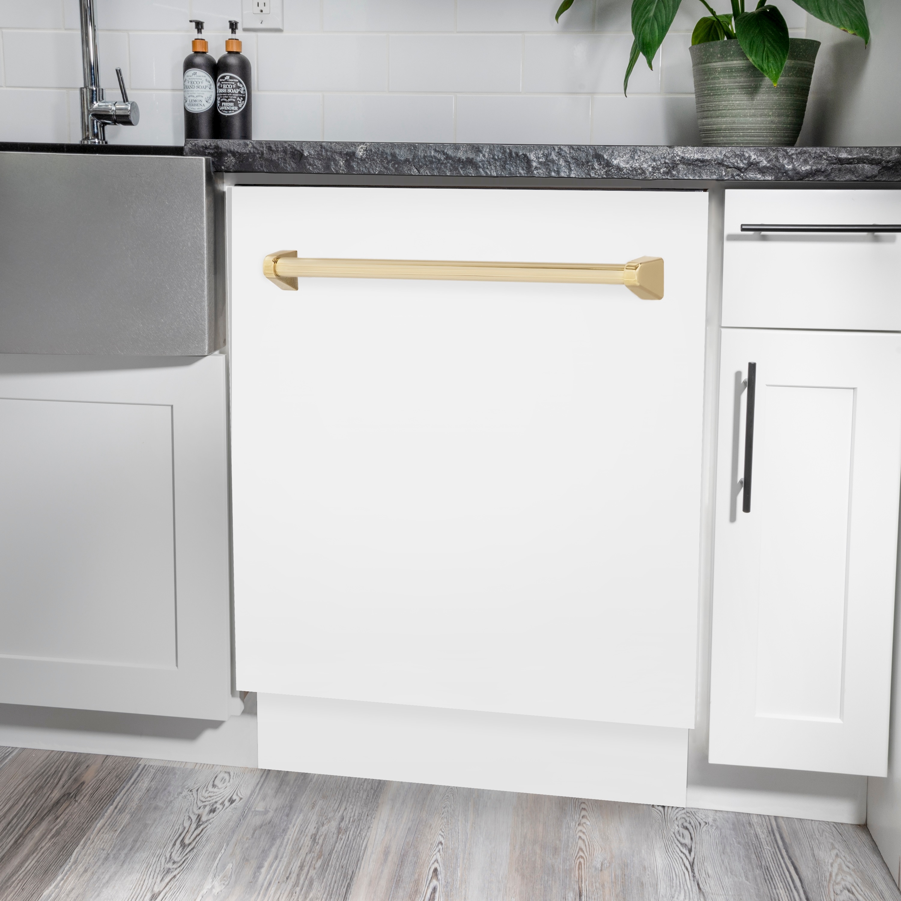 ZLINE KITCHEN & BATH DWVZ-WM-24-G Builtin-Dish - View #13