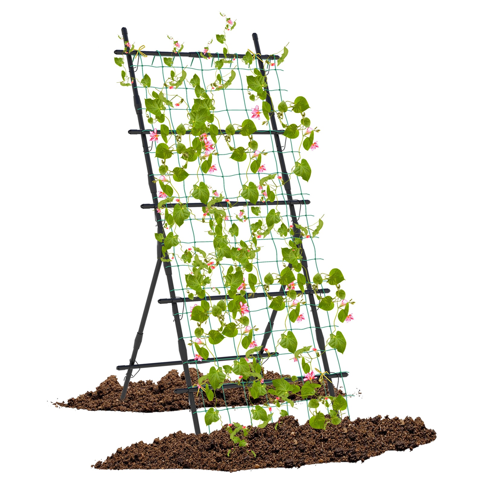  YSGT416672BK 31-Inches W x 74-Inches H Black Garden Trellis For Climbing Plants For Cucumbers For Roses For Tomatoes
