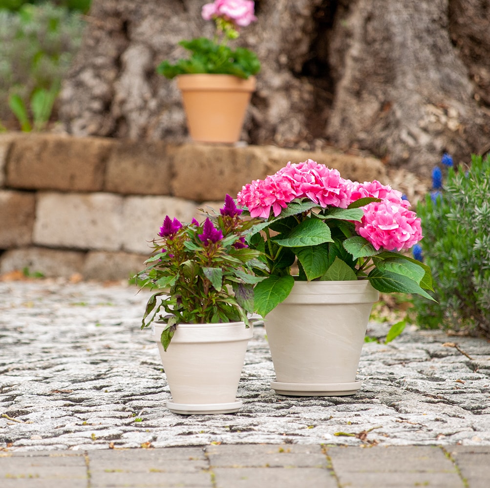  805557 Planter-Window-Box - View #4