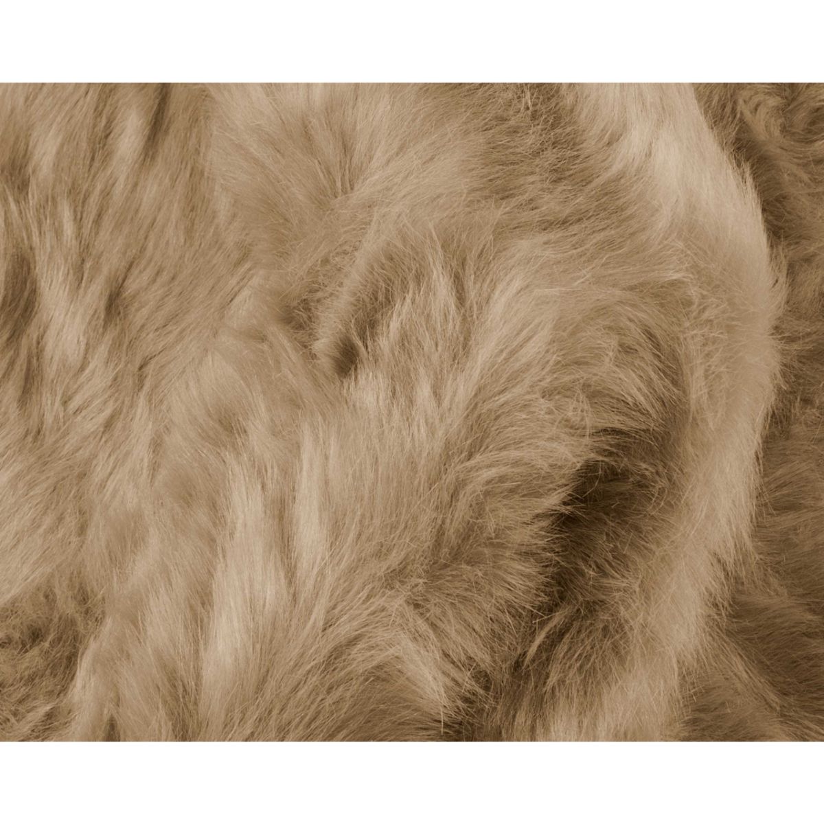 HomeRoots 317164 rugs - View #2