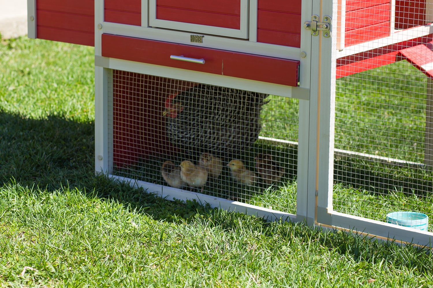 Red and Beige ECOFLEX Dual-Level Chicken Coop with Stainless Steel Mesh