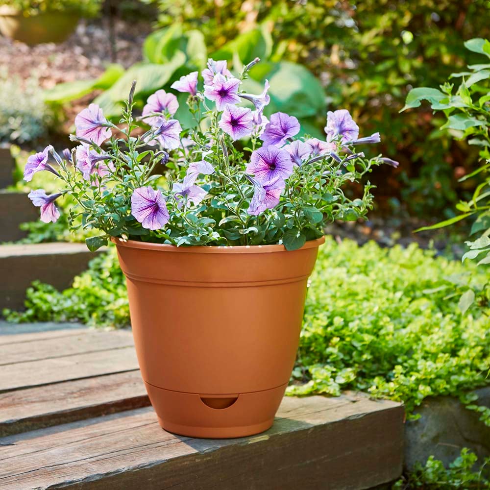Garden Treasures HS1406CY Planter-Window-Box - View #4