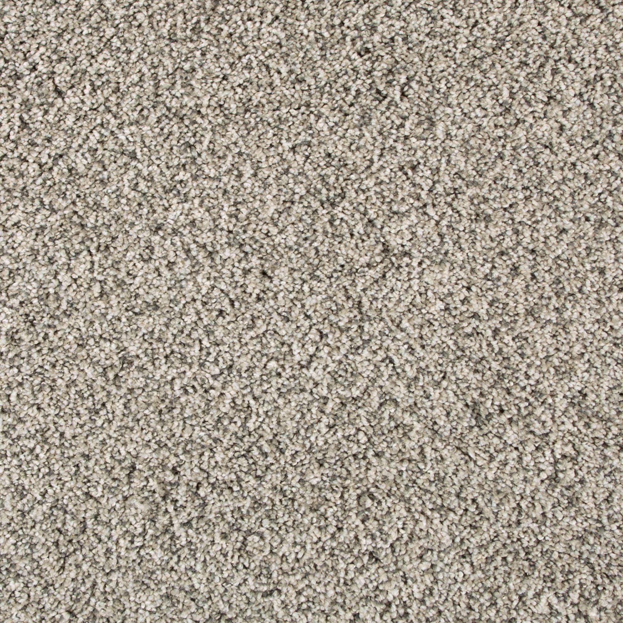 STAINMASTER SS046-12-L011 Choice Elements I Cityscape Gray 55-oz sq yard Solution-dyed polyester Textured Indoor Carpet