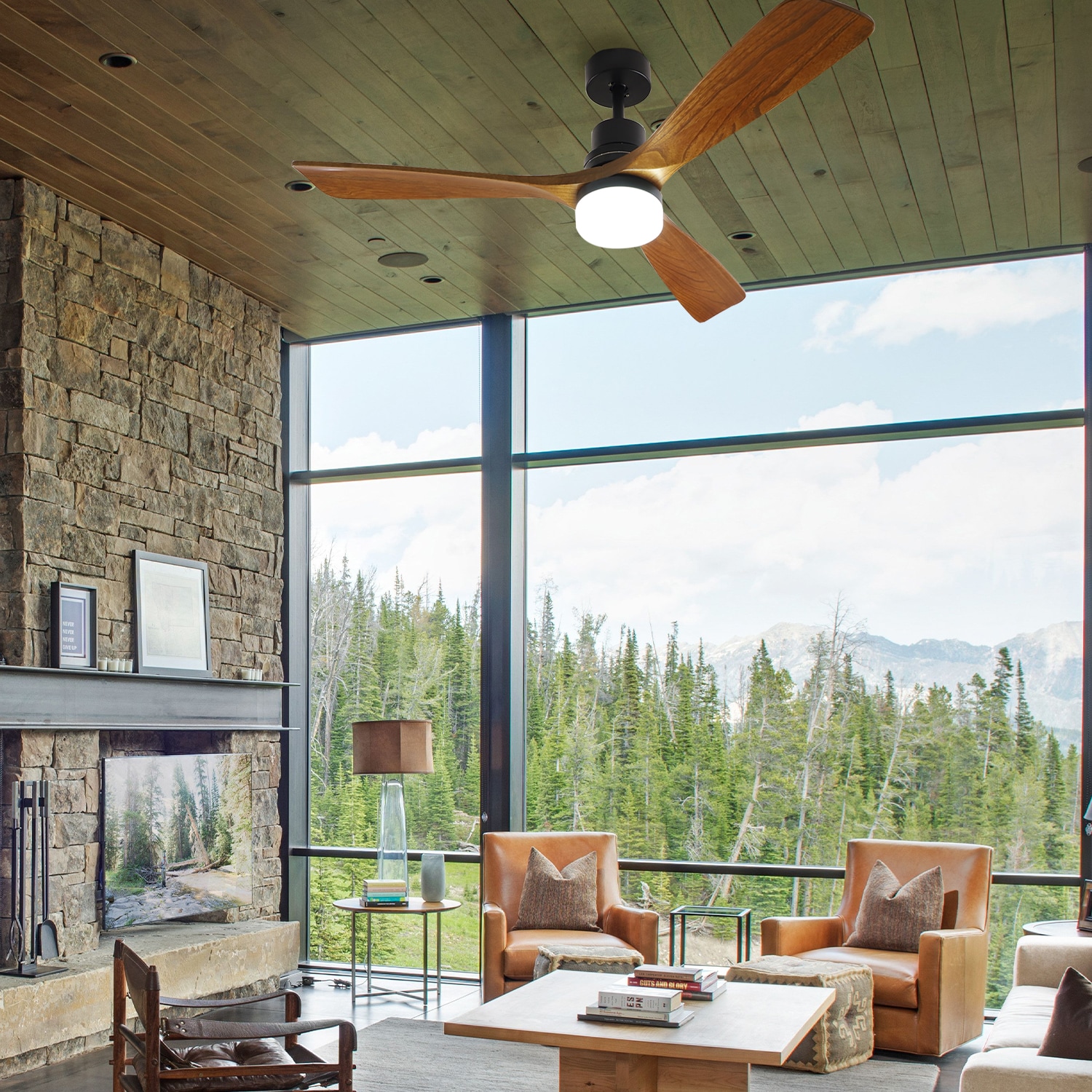 ExBrite LWYFZPFL5202BR Ceiling-Fans - View #7