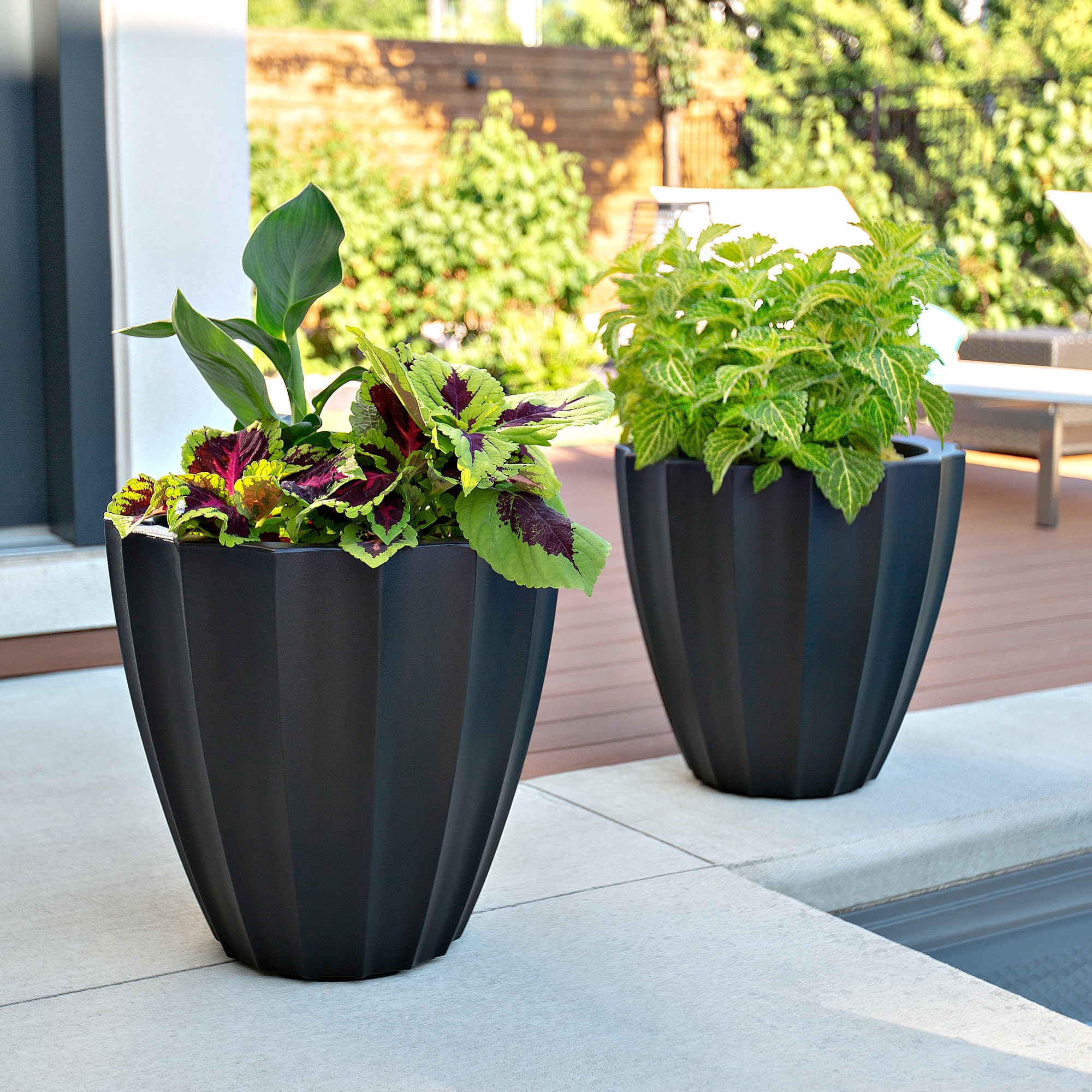 Mayne 2830-B Planter-Window-Box - View #4