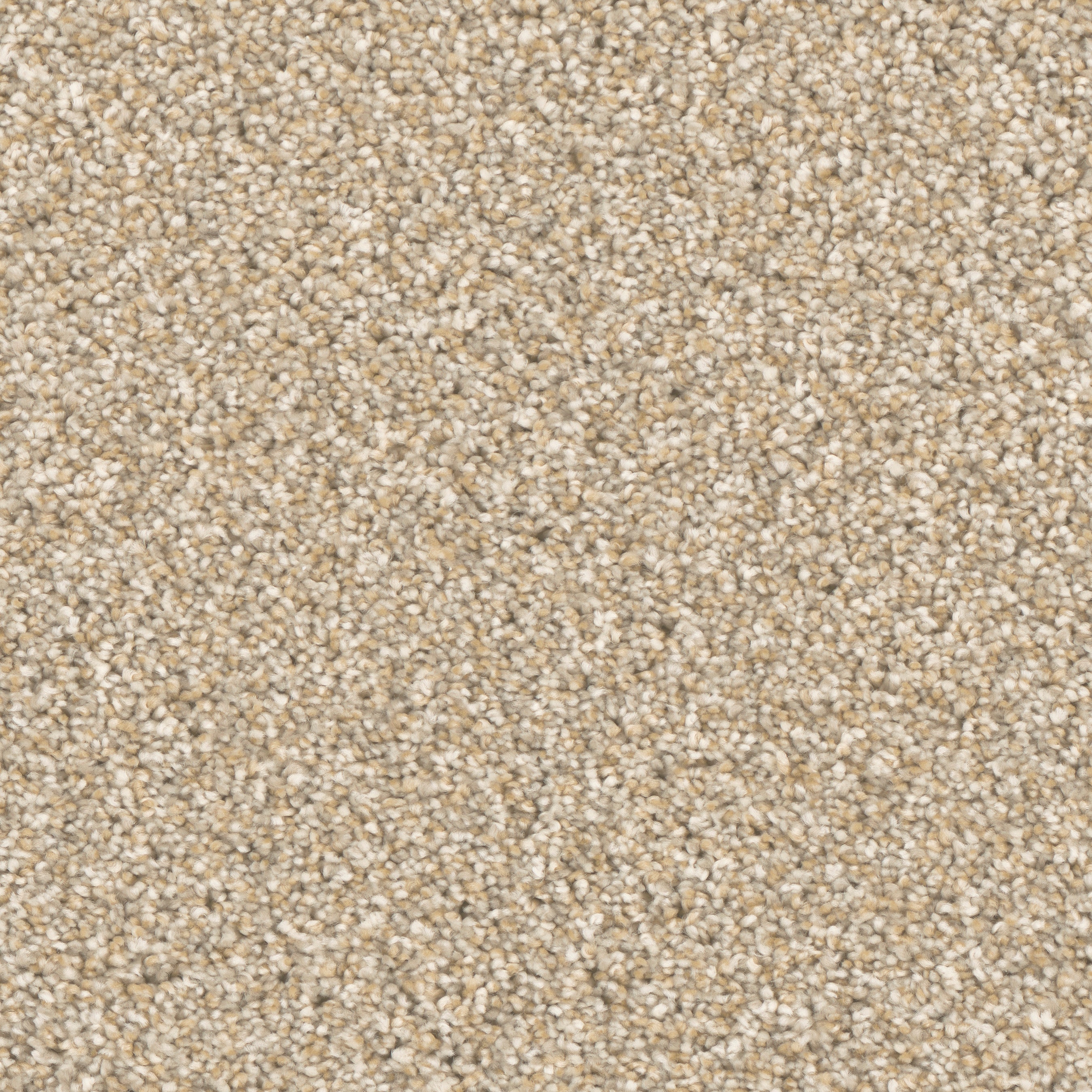 STAINMASTER S9165-844-1200-MO Imagine Visualize Brown 65-oz sq yard Polyester Textured Indoor Carpet