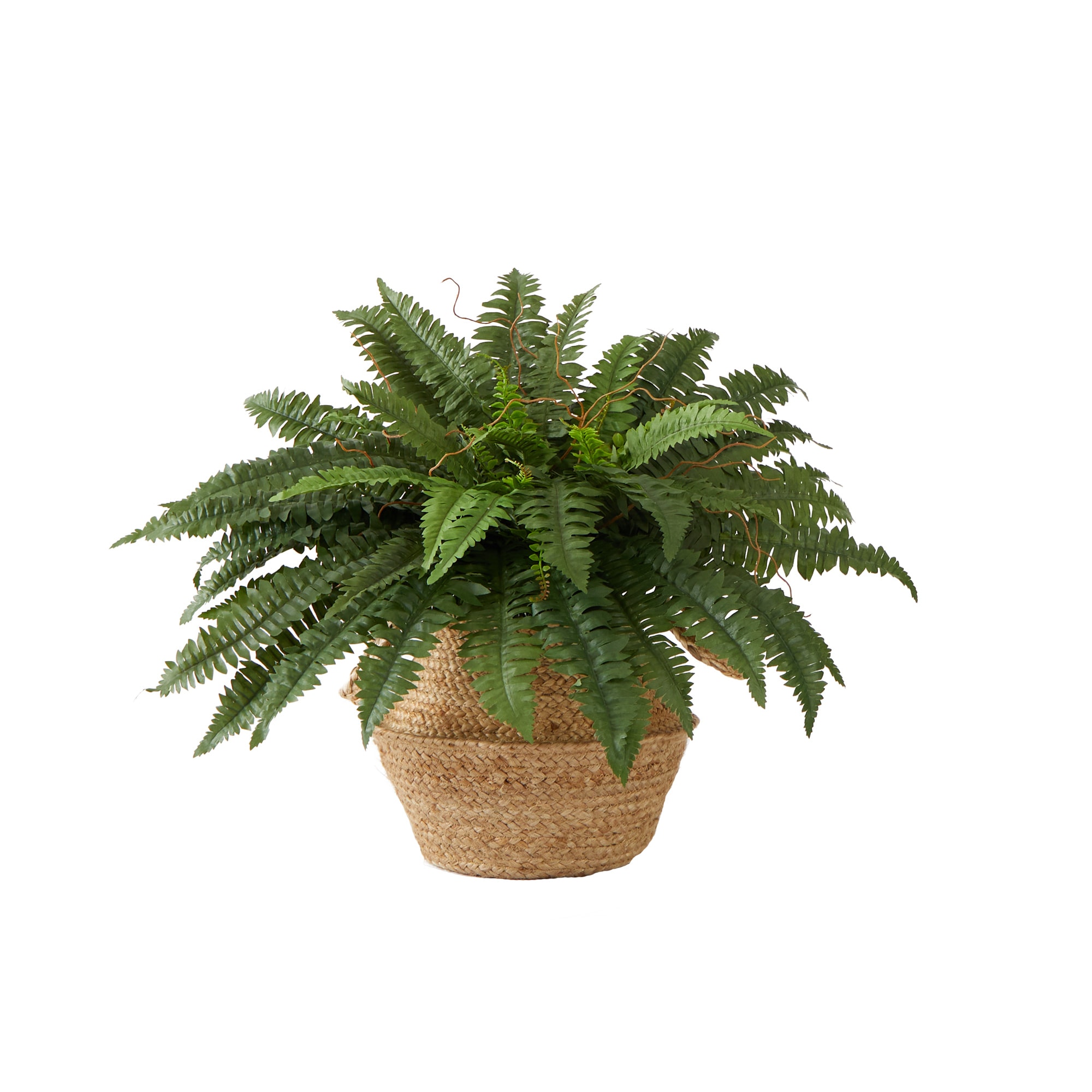 Morttic 8 Pcs Artificial Boston Ferns Fake Fern Plant for Greenery Home  Garden Decor UV Resistant Table Centerpieces DIY Indoor and Outdoor