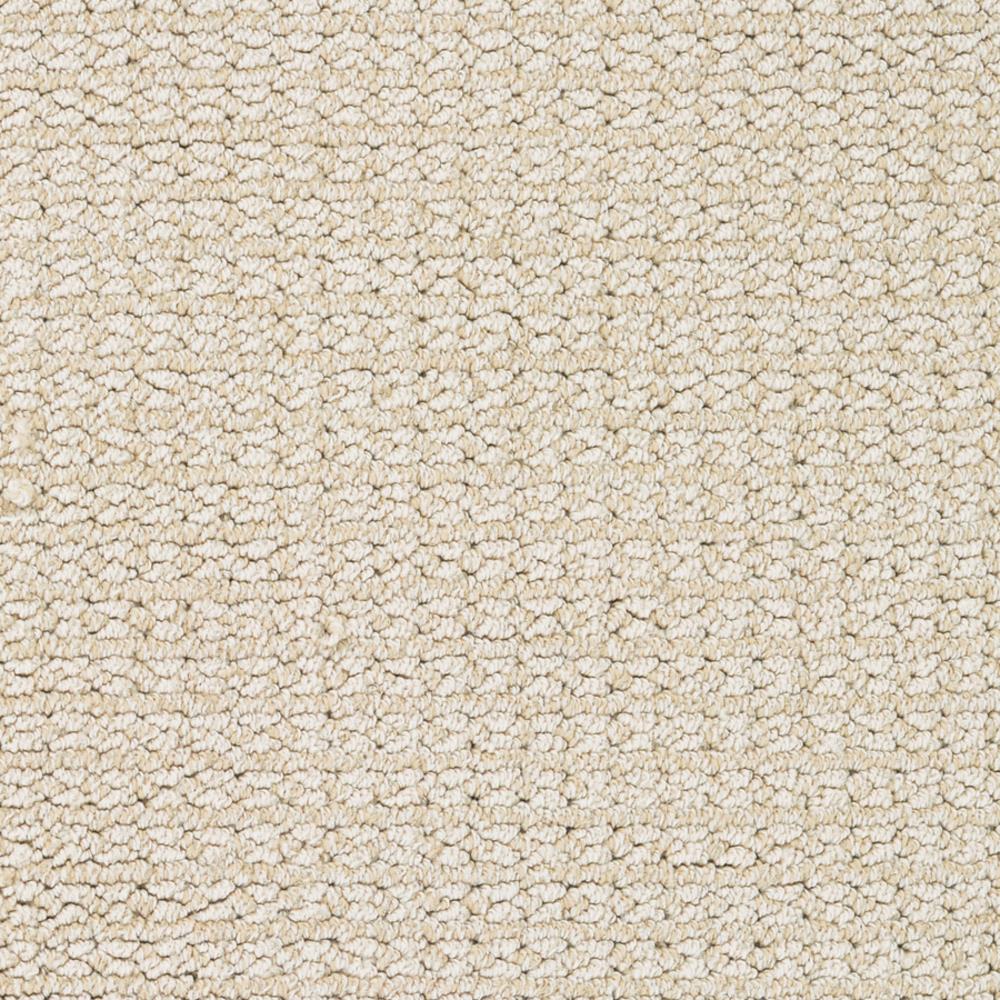 STAINMASTER 6628-105 PetProtect Secret Dream Tortoise Shell Pattern Carpet (Indoor)