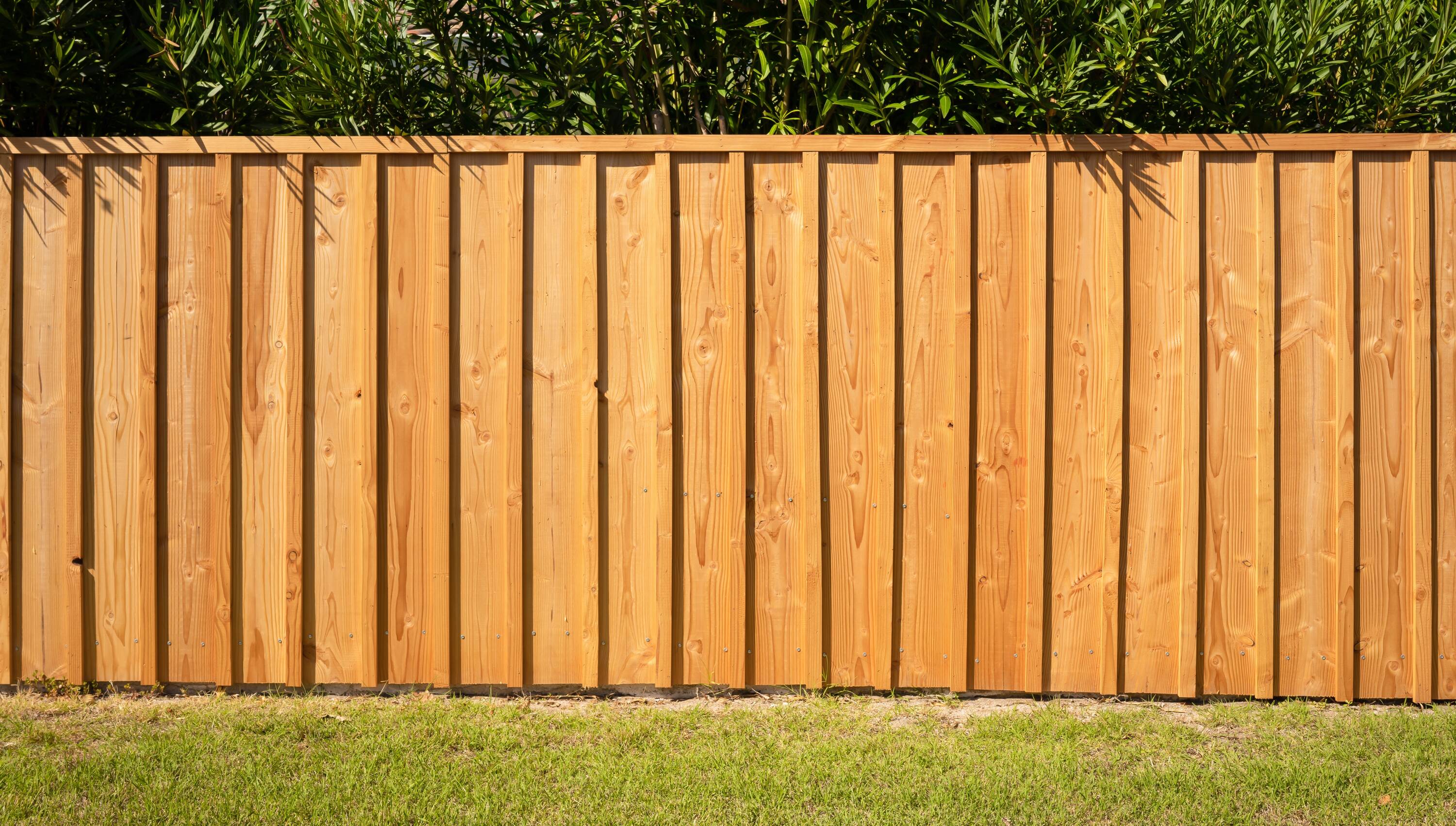 5 8-in X 5-1 2-in X 8-ft Cedar Flat-top Fence Picket In The Wood Fence 