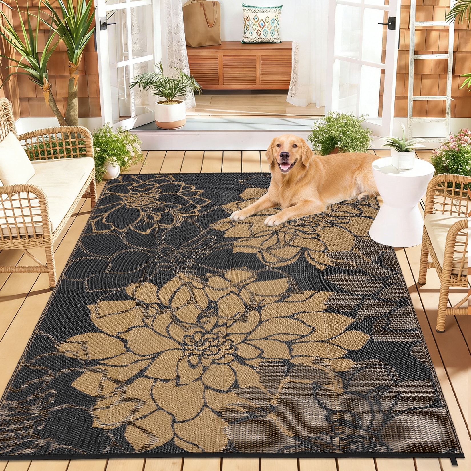 Garvee SUNNY-PPG-333DFD74-1 rugs - View #2