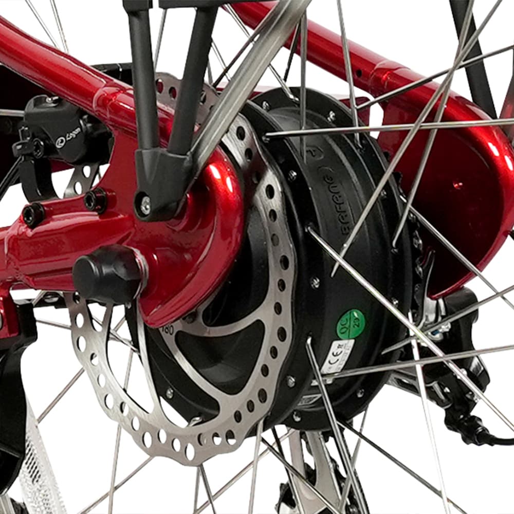 Young Electric 12801006RED bikes - View #7