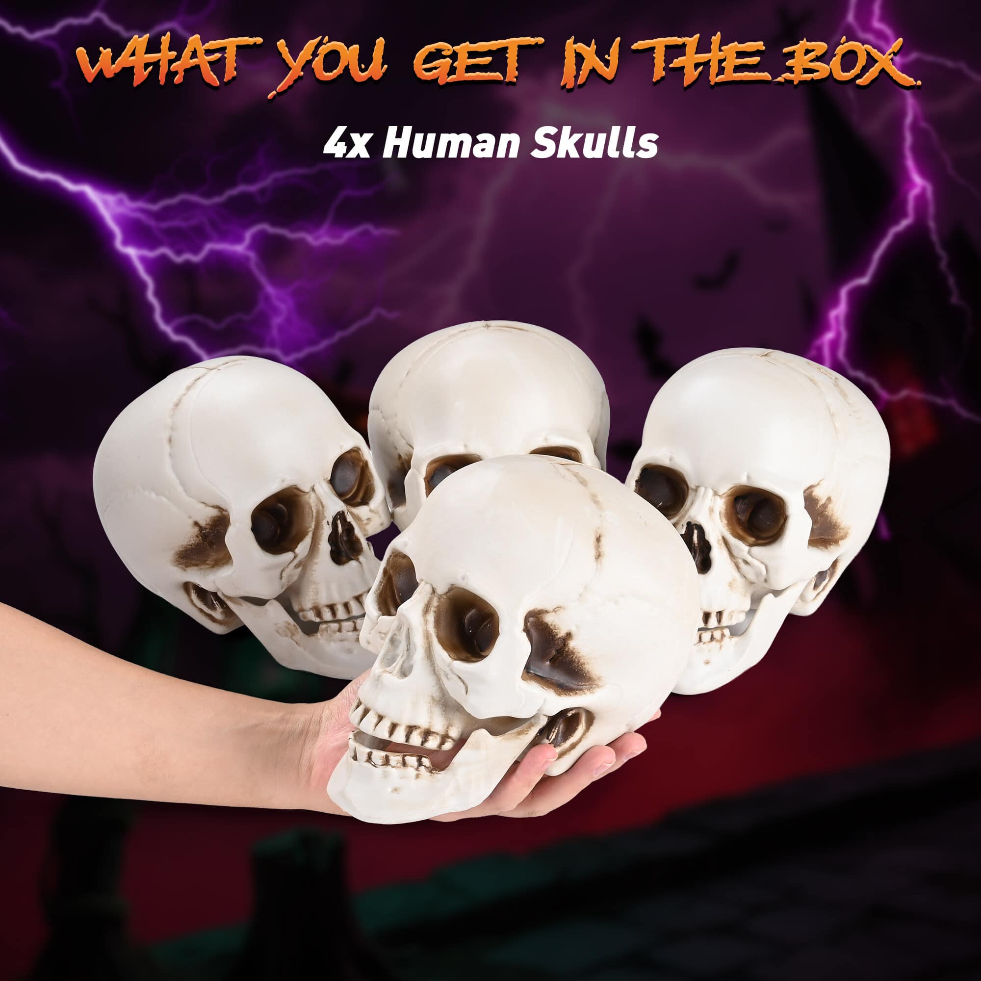 Yescom 60HAL061-KLT4P-LO Decorative-Accessories - View #5