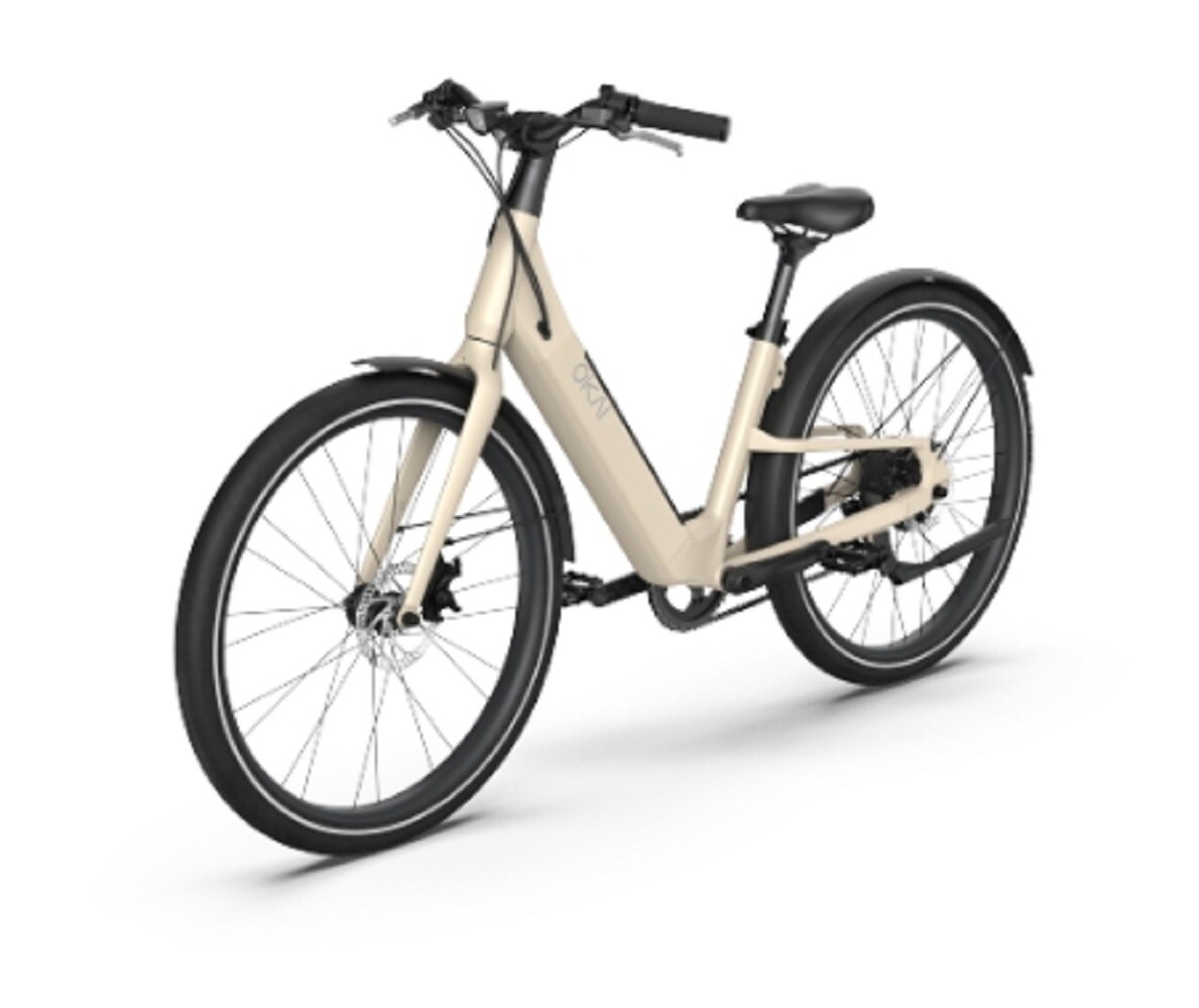 ZAKLOOP 20-in Medium E-bike with 500W Motor, 48V 22Ah