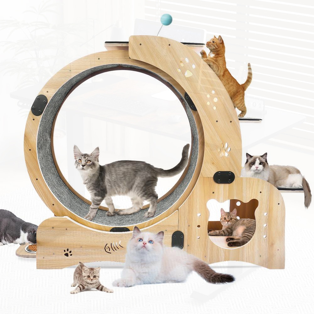 SunJet 6in1 Cat Exercise Wheel for Indoor Cats with Silent Treadmill and Large Running Surface Cat Furniture and Toys #LIKD2Q5GZS3KA