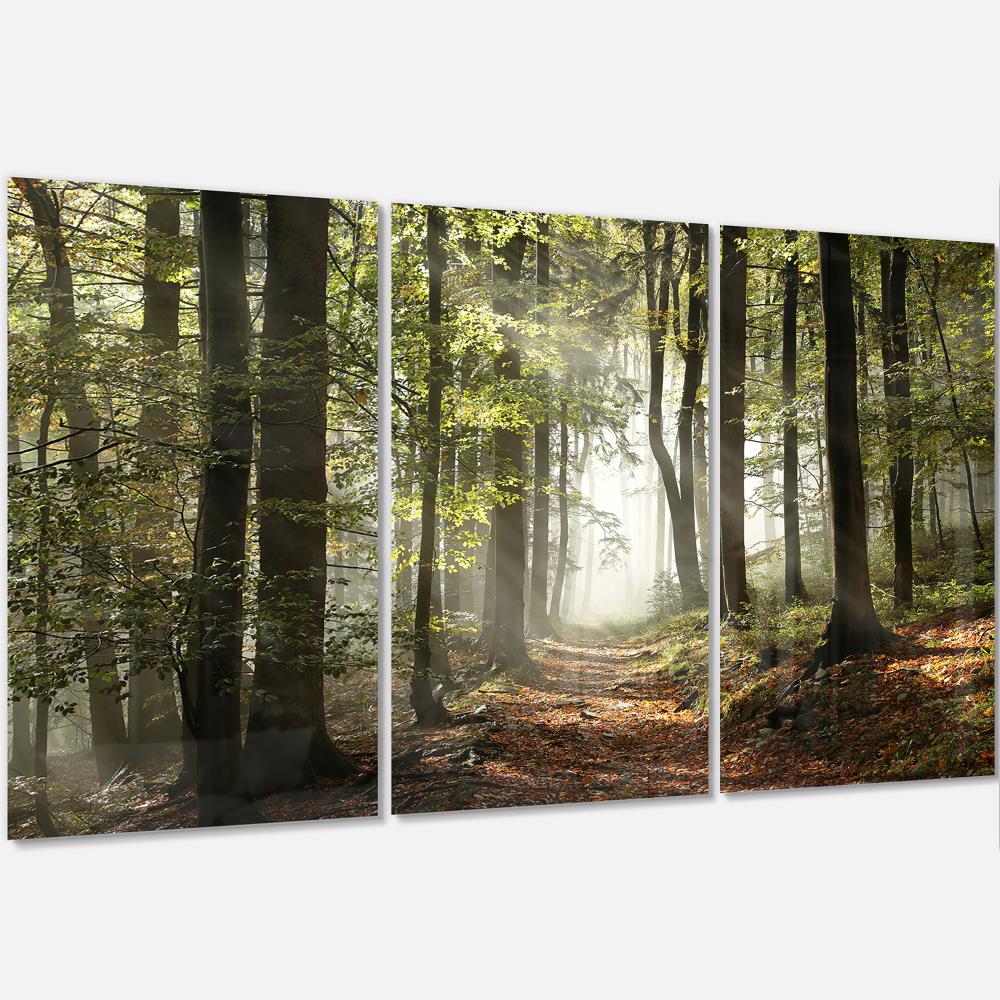 Designart Green Fall Forest with Sun Rays- Multipanel Landscape ...