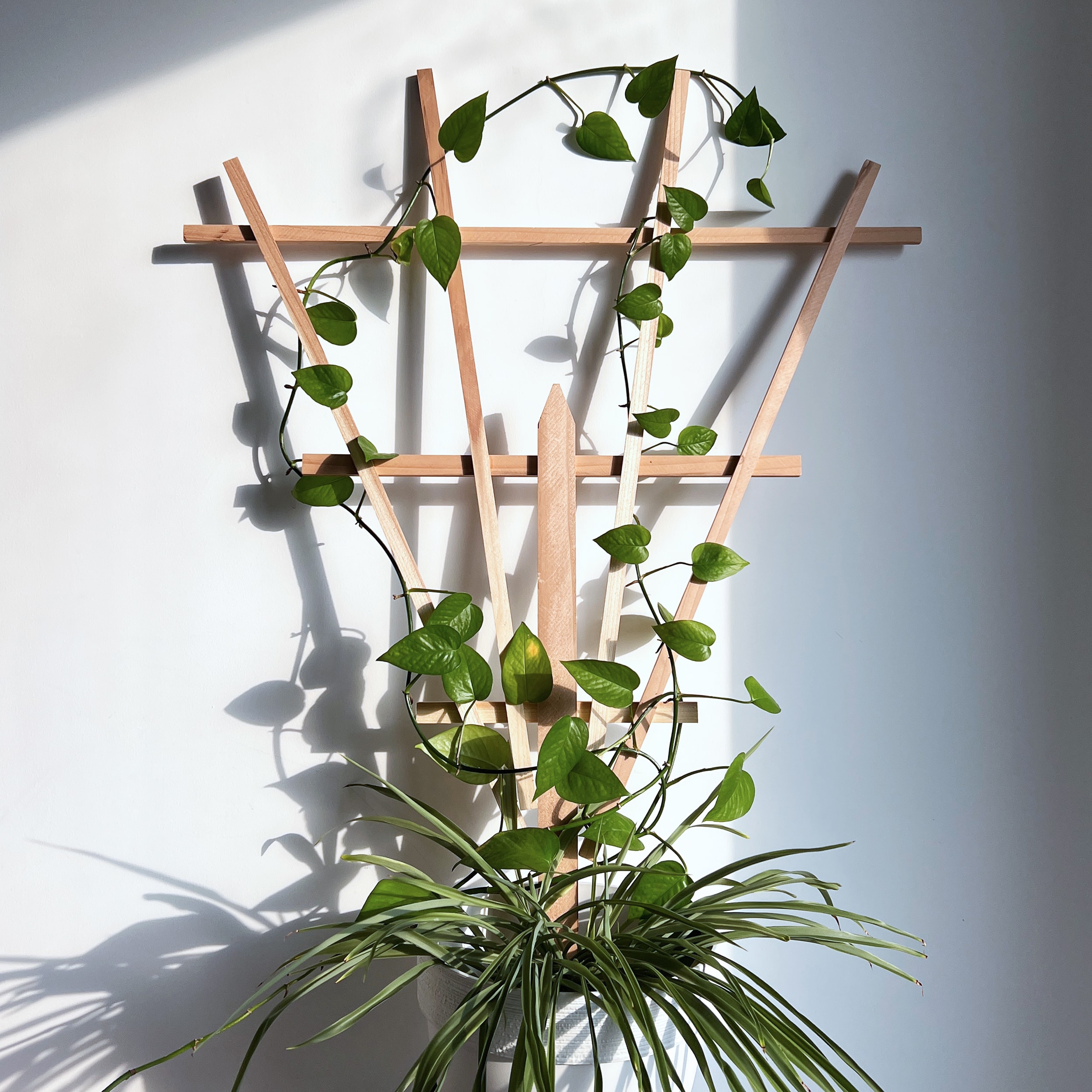 Style Selections TARJ310A Garden-Trellis - View #2