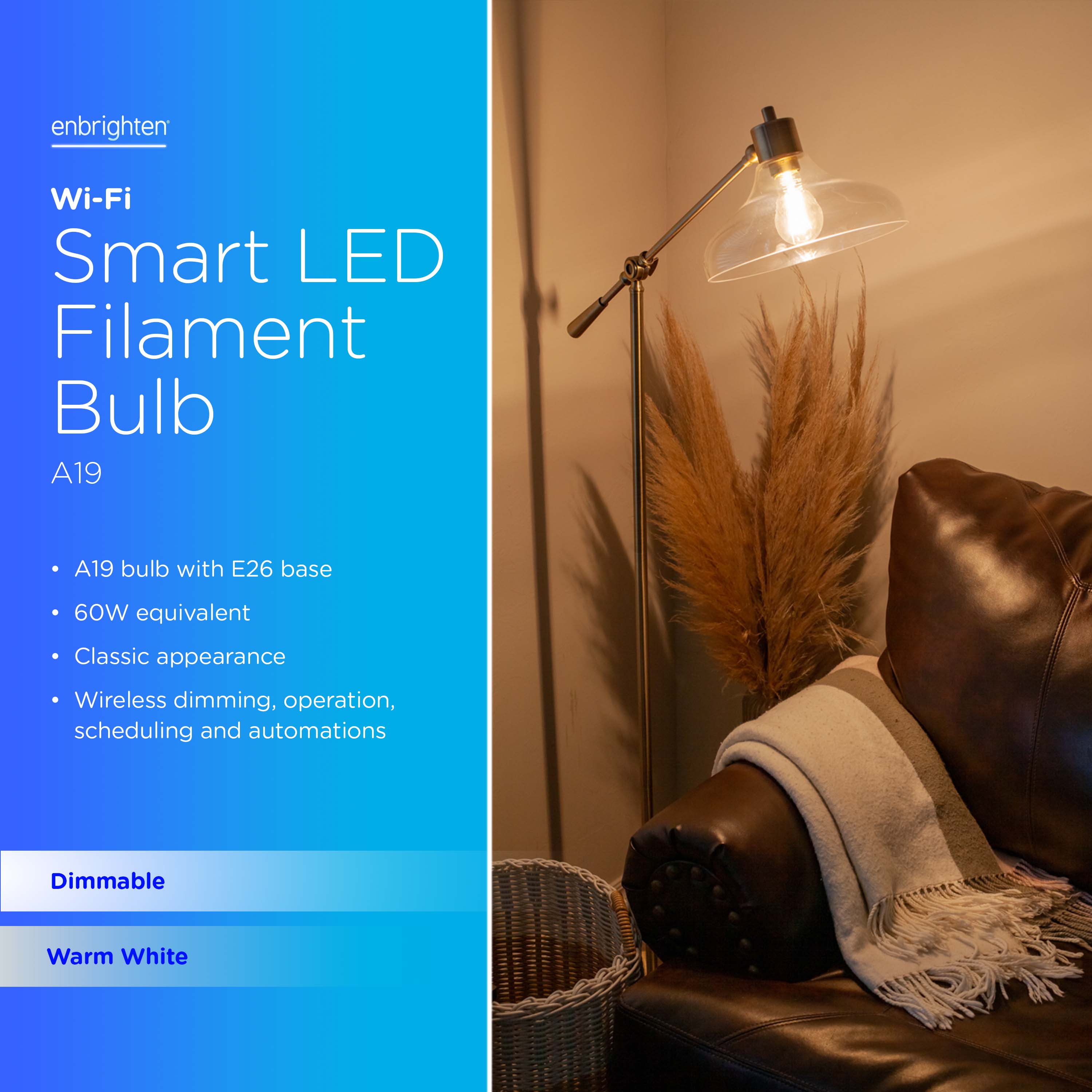Enbrighten 60Watt EQ A19 White E26 Dimmable Smart LED Decorative Light