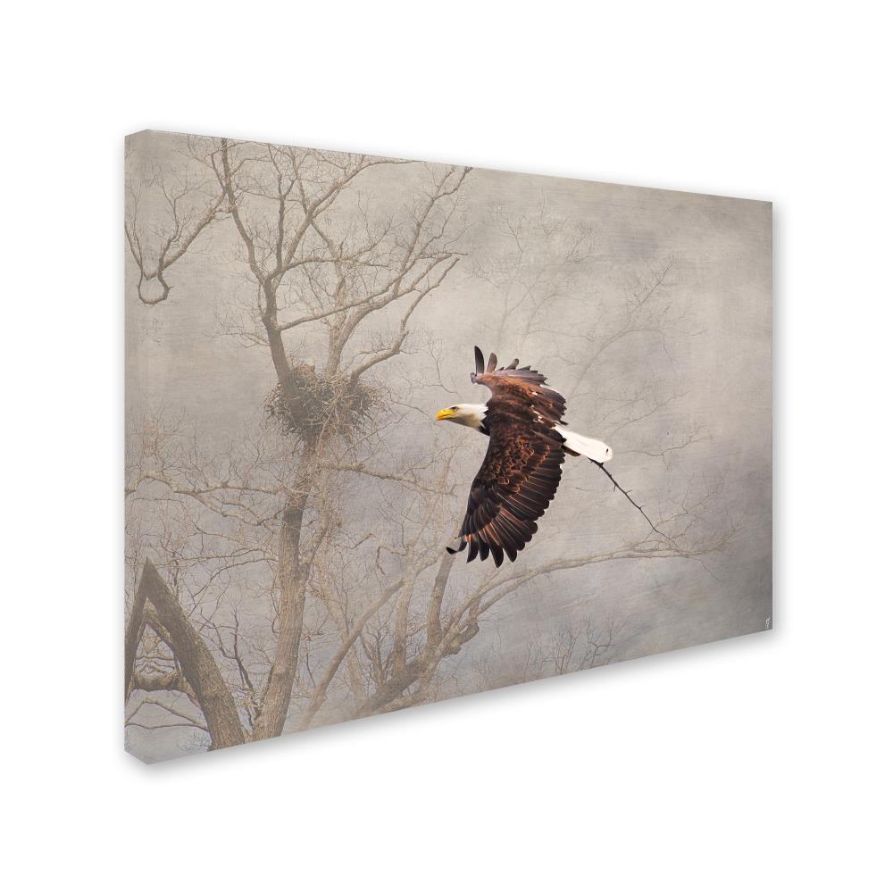 Trademark Fine Art Framed 24-in H x 32-in W Animals Print on Canvas at ...