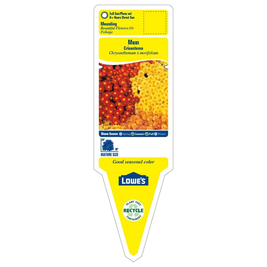 Lowe's 522224 annuals - View #2