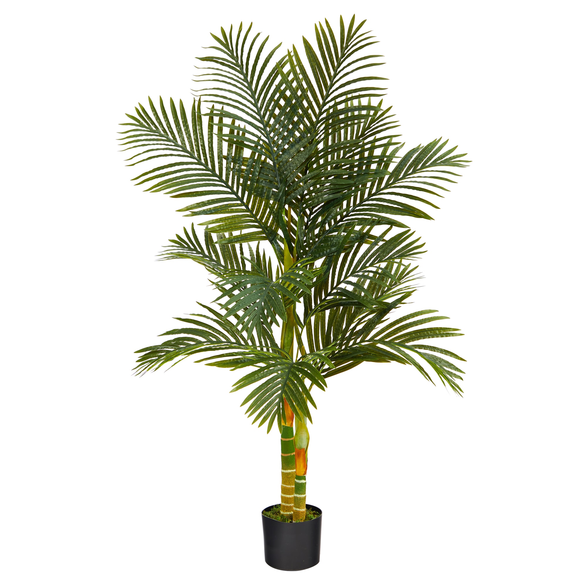 Nature Spring 60-in Multiple Colors Indoor/Outdoor Artificial Palm