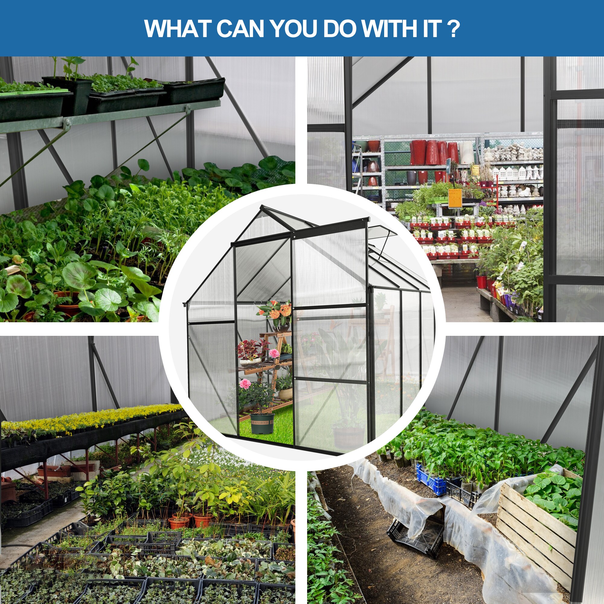 Clihome CL-WC54S07 greenhouses - View #5