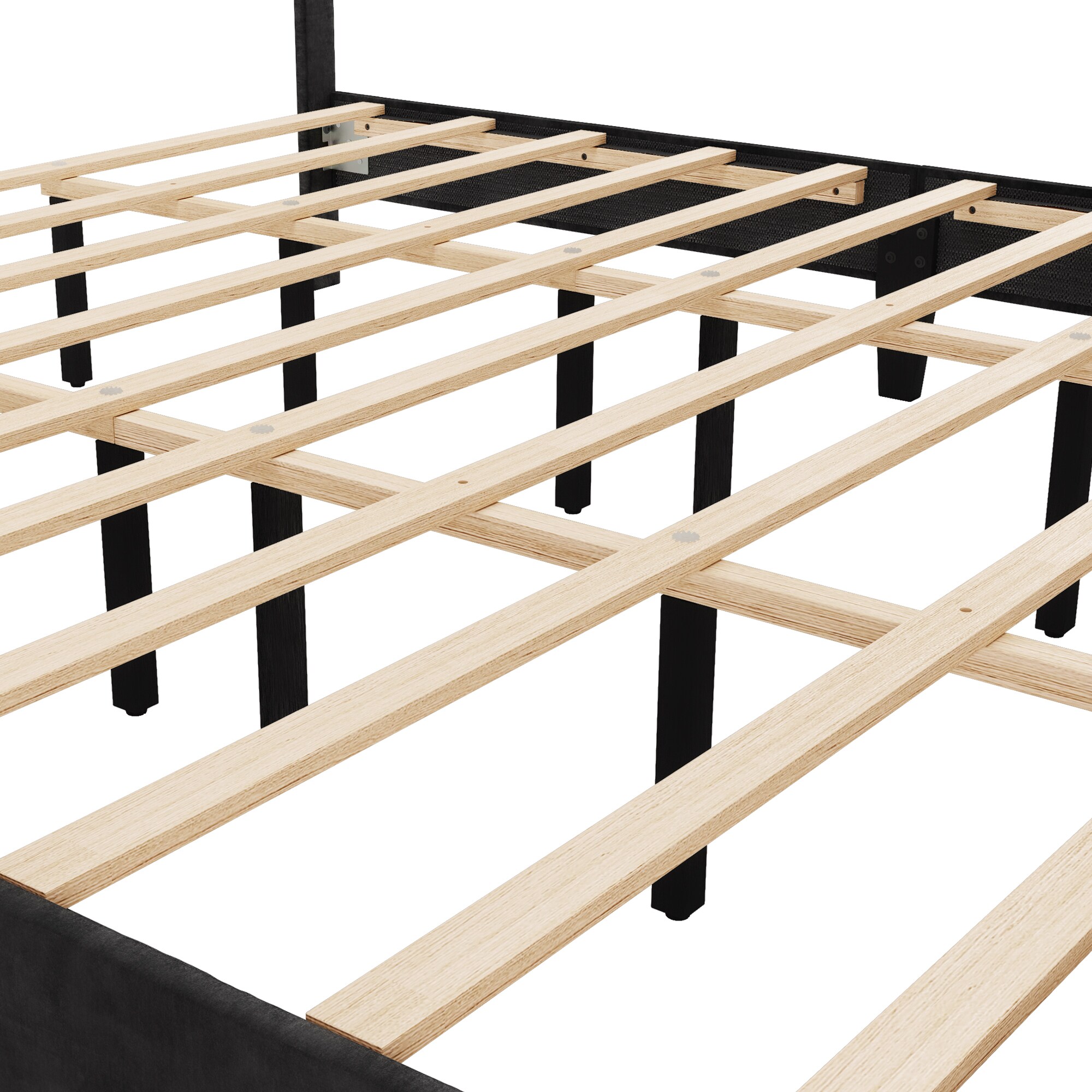 LUE BONA CR-001-01LS beds - View #8