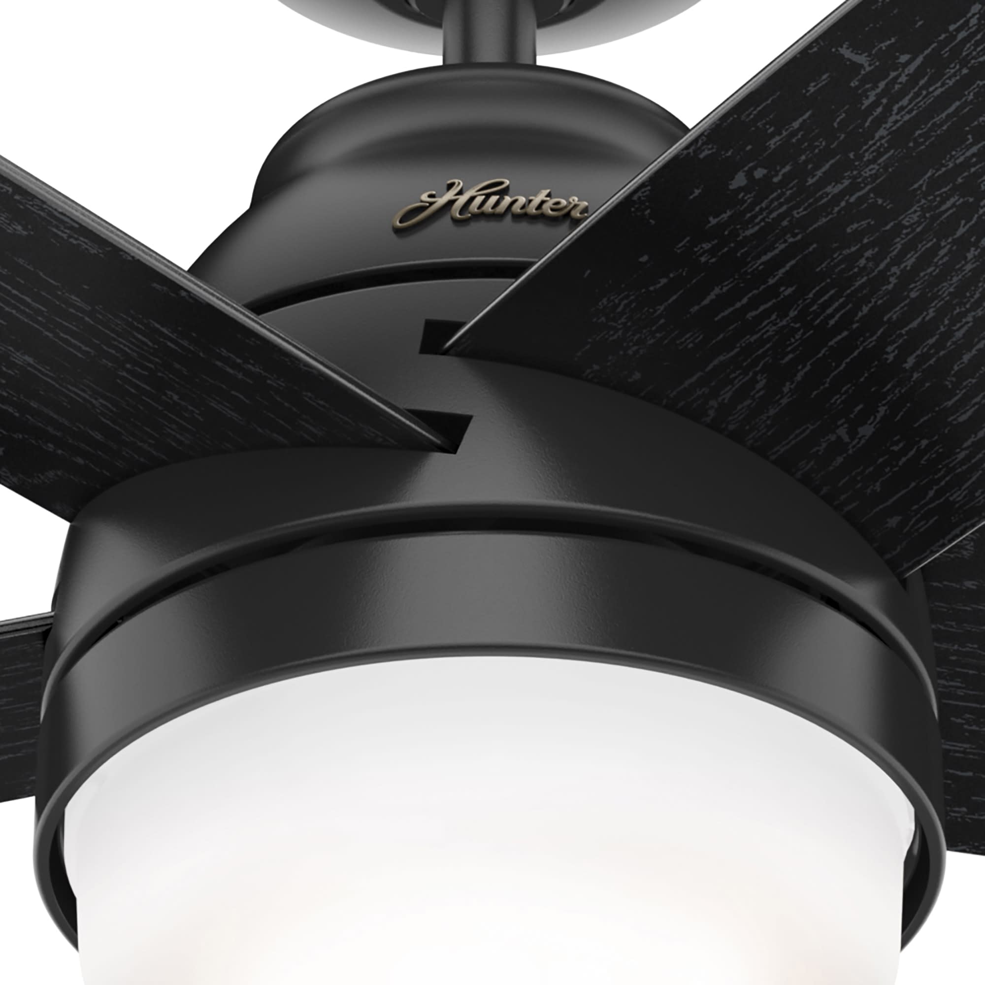 Hunter 51350 Ceiling-Fans - View #19