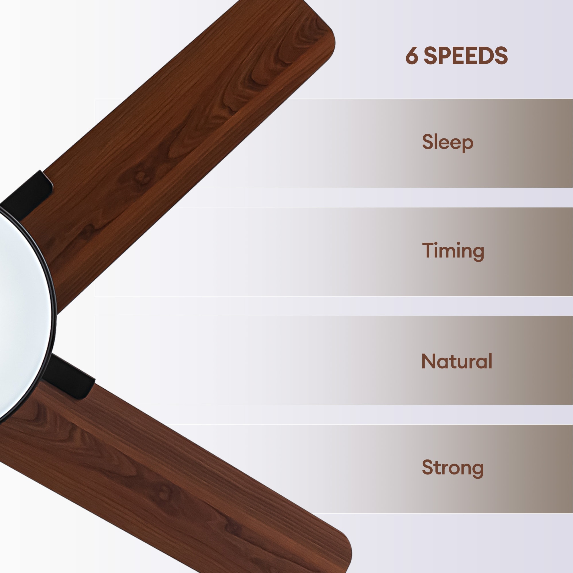 SILJOY WY-009D-44-01 Ceiling-Fans - View #6