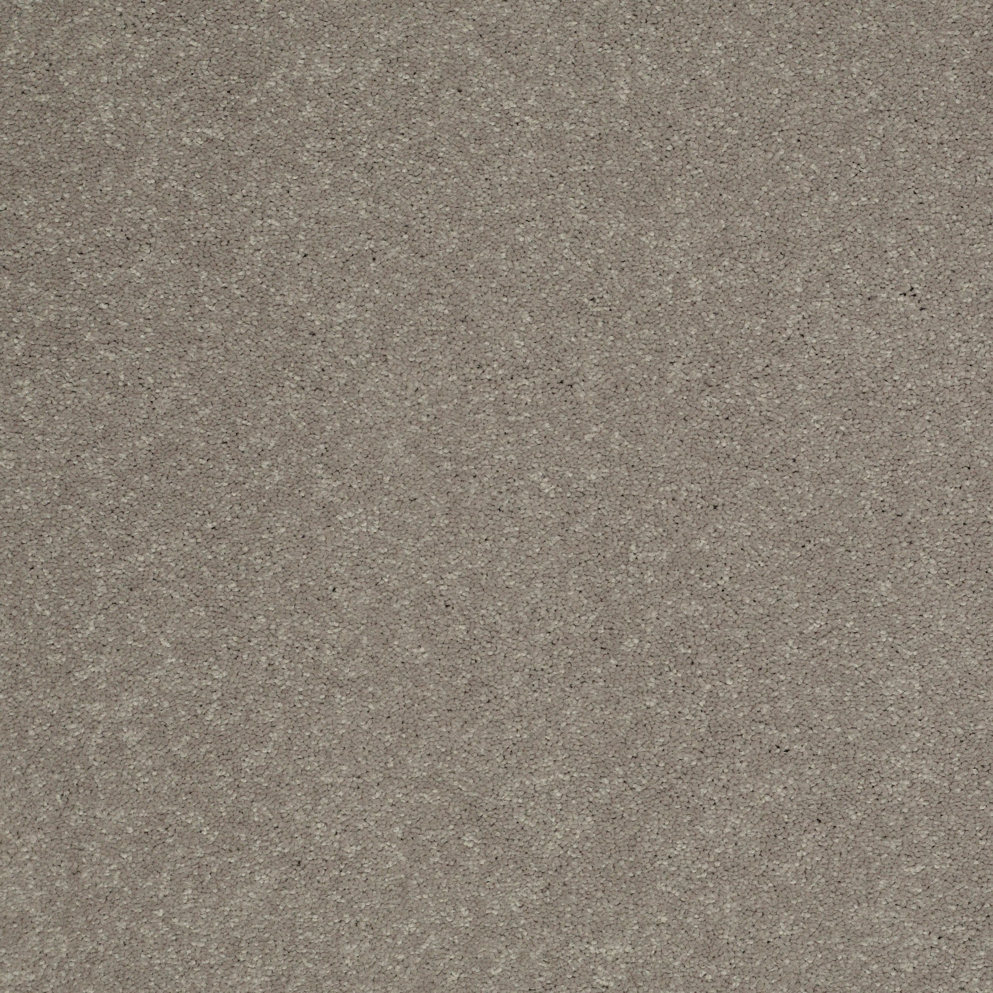 STAINMASTER PetProtect 7L88100520 Best Of Breed I River Reed Gray 48.8-oz sq yard Nylon Textured Indoor Carpet