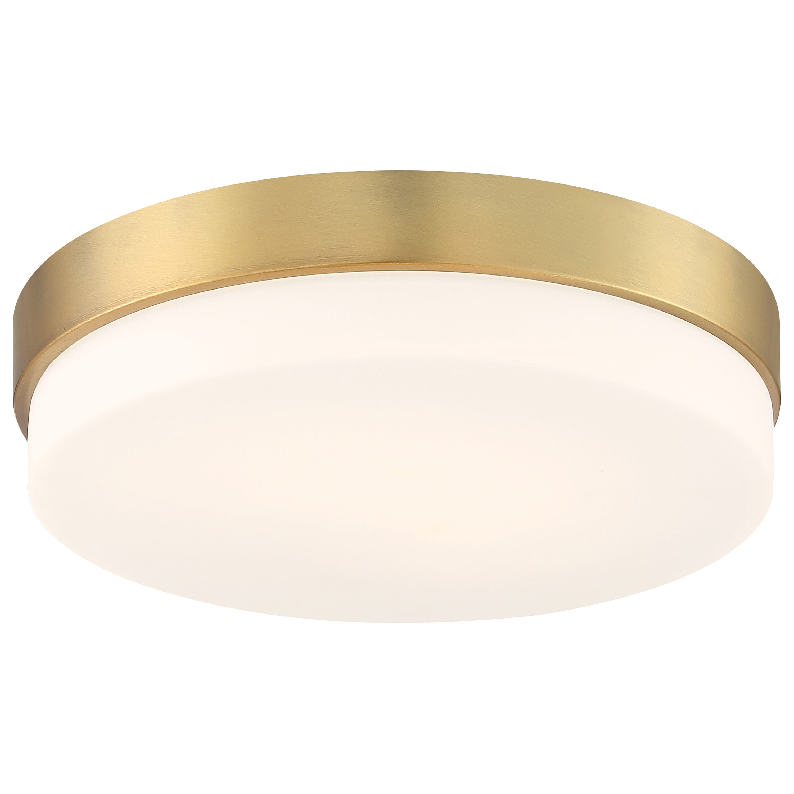 Access Lighting 20826LEDD-ABB/OPL flushmounts - View #4