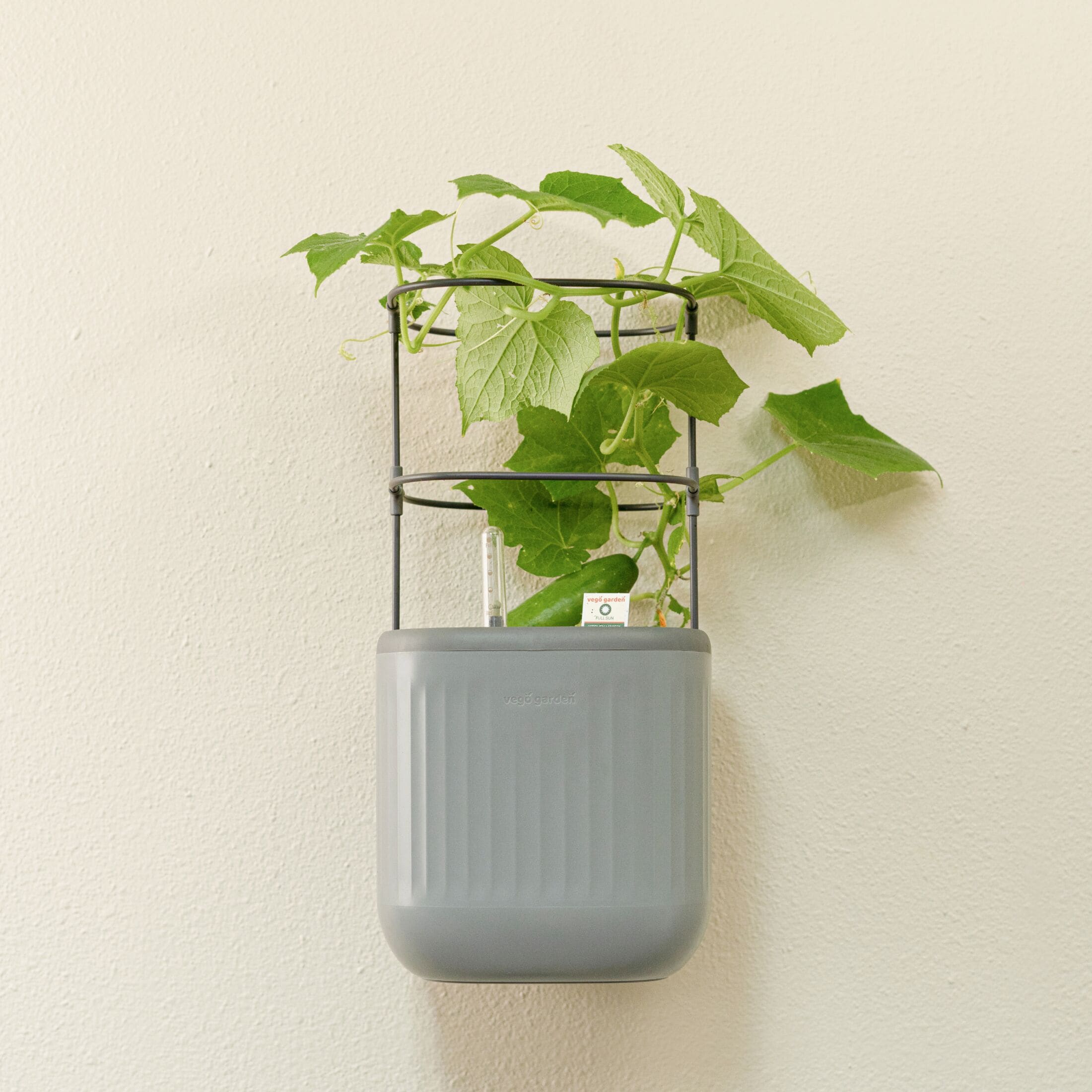 Vego Garden VPMPGY Planter-Window-Box - View #6