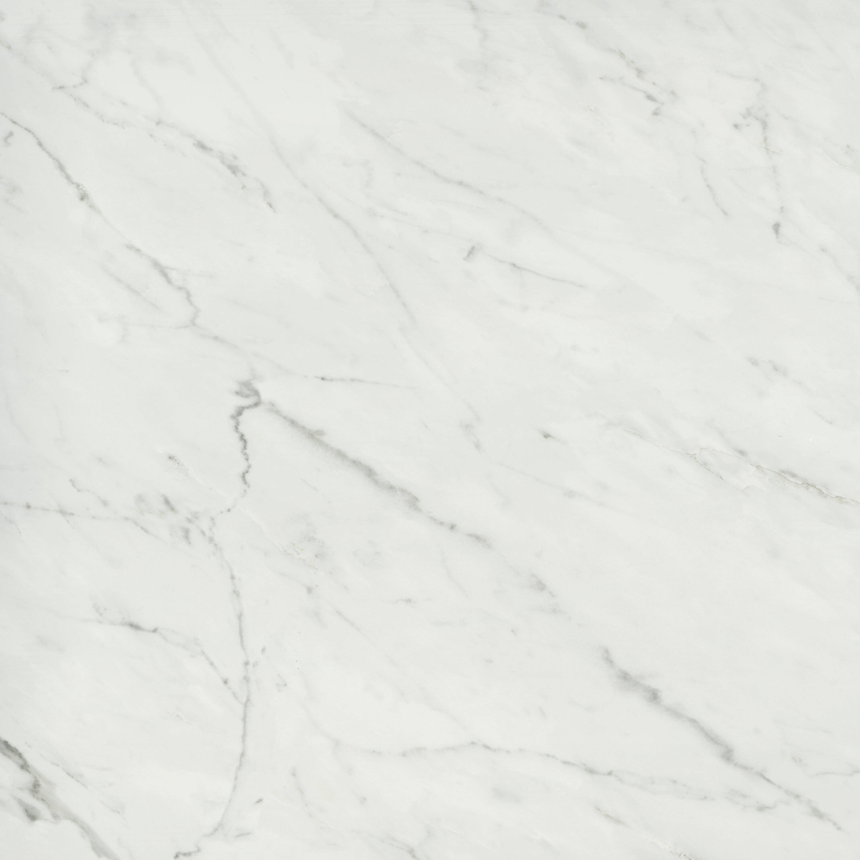 Emser Vara Marble 24 In X 24 In Matte Porcelain Marble Look Floor And