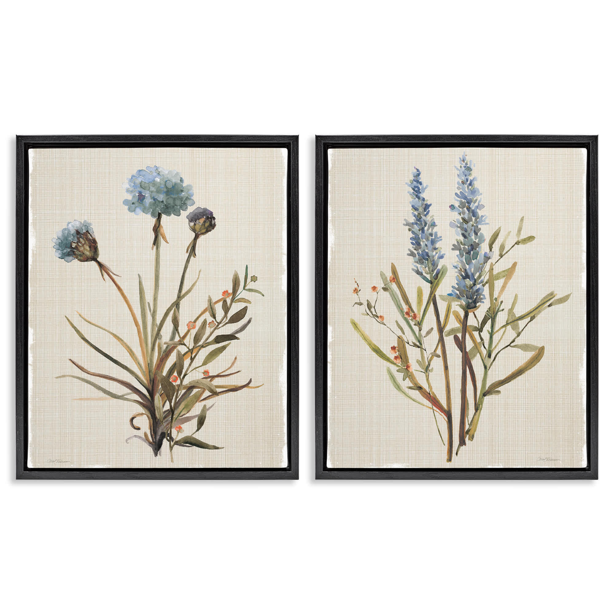 Stupell Industries B2-748-FFB-2PC-24X30 Natural Budding Blooms 2 Piece Black Framed Floater Canvas Set By Carol Robinson 31 x 25