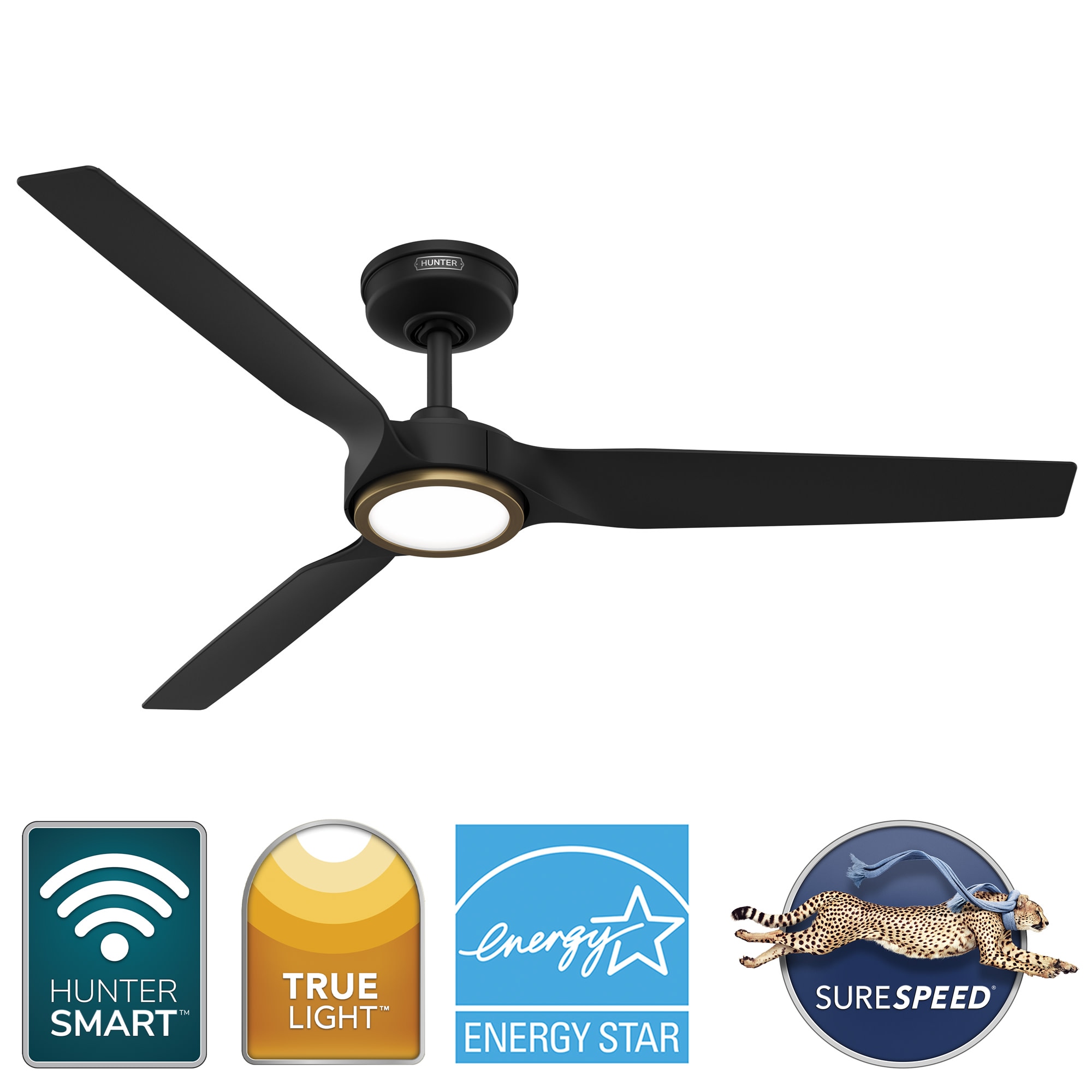 Hunter 53518 Ceiling-Fans - View #2