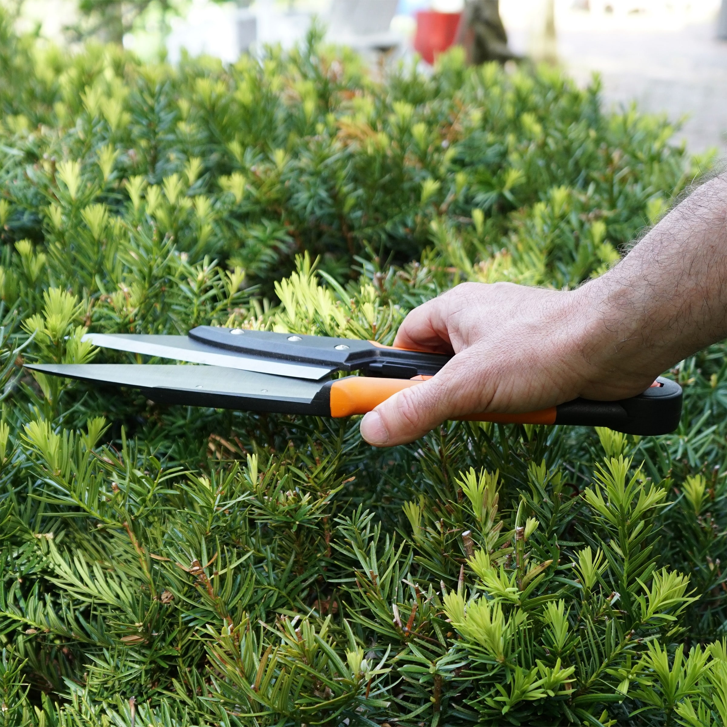 Kings County tools KC8807-11 Hedge-Shears - View #7