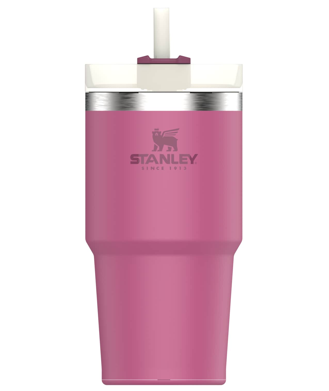 Stanley Quencher 20-fl oz Stainless Steel Insulated Water Bottle at