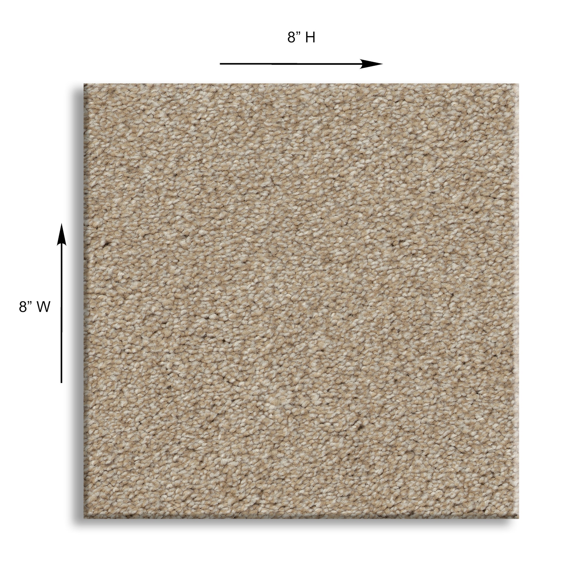 STAINMASTER PetProtect 7L928-120-SAMP Carpet-Samples - View #10