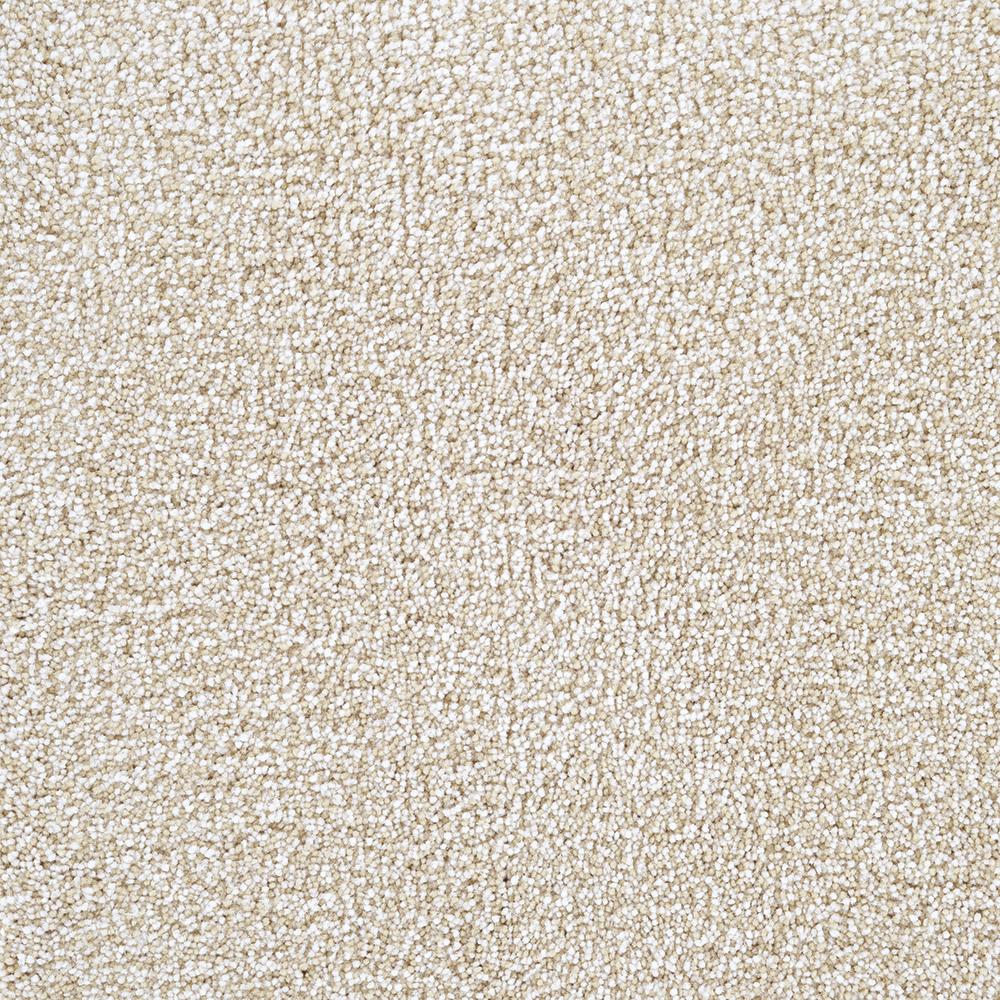 STAINMASTER DL002-306 Signature The Big Apple Rome Textured Indoor Carpet