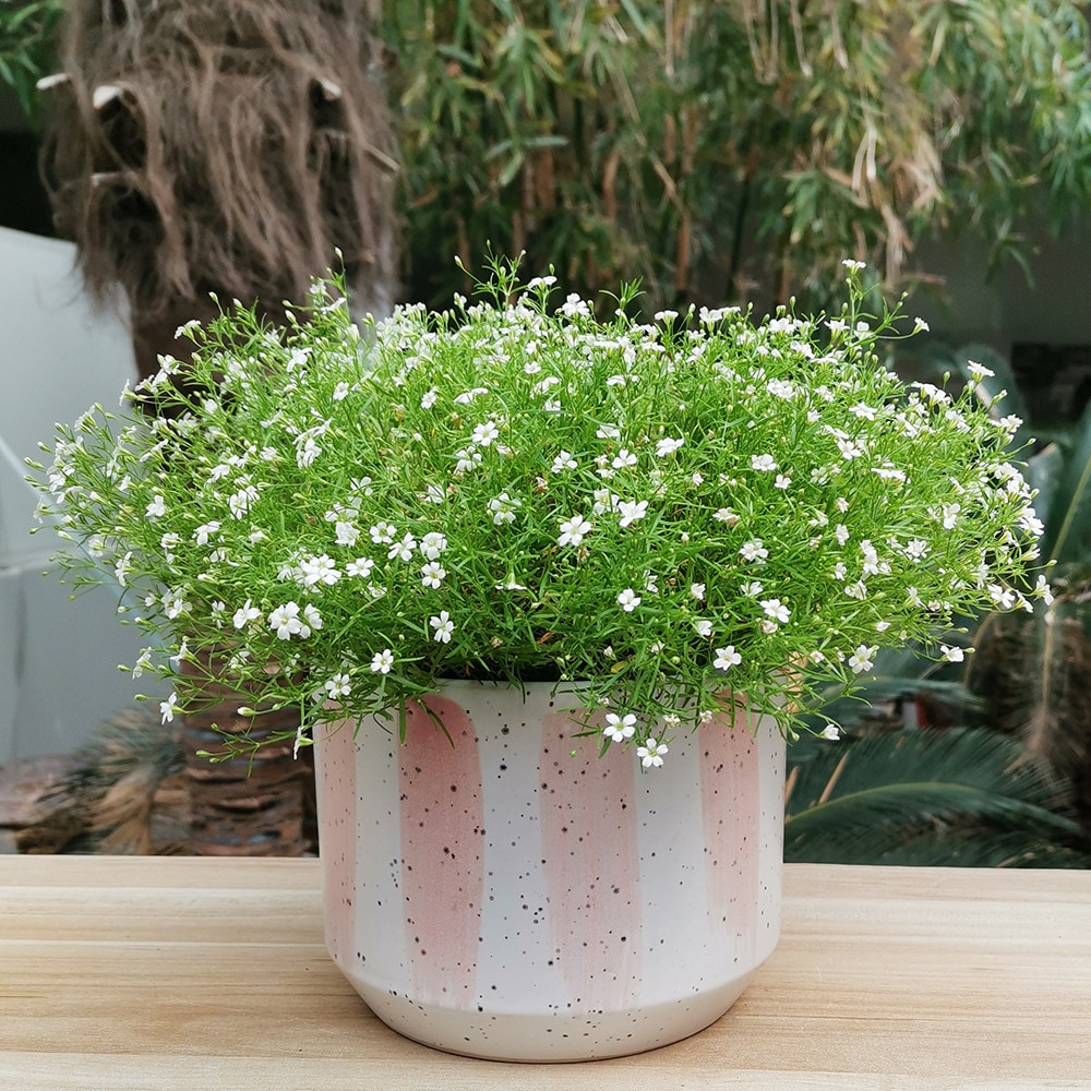 Origin 21 2344 PNT1 Planter-Window-Box - View #10