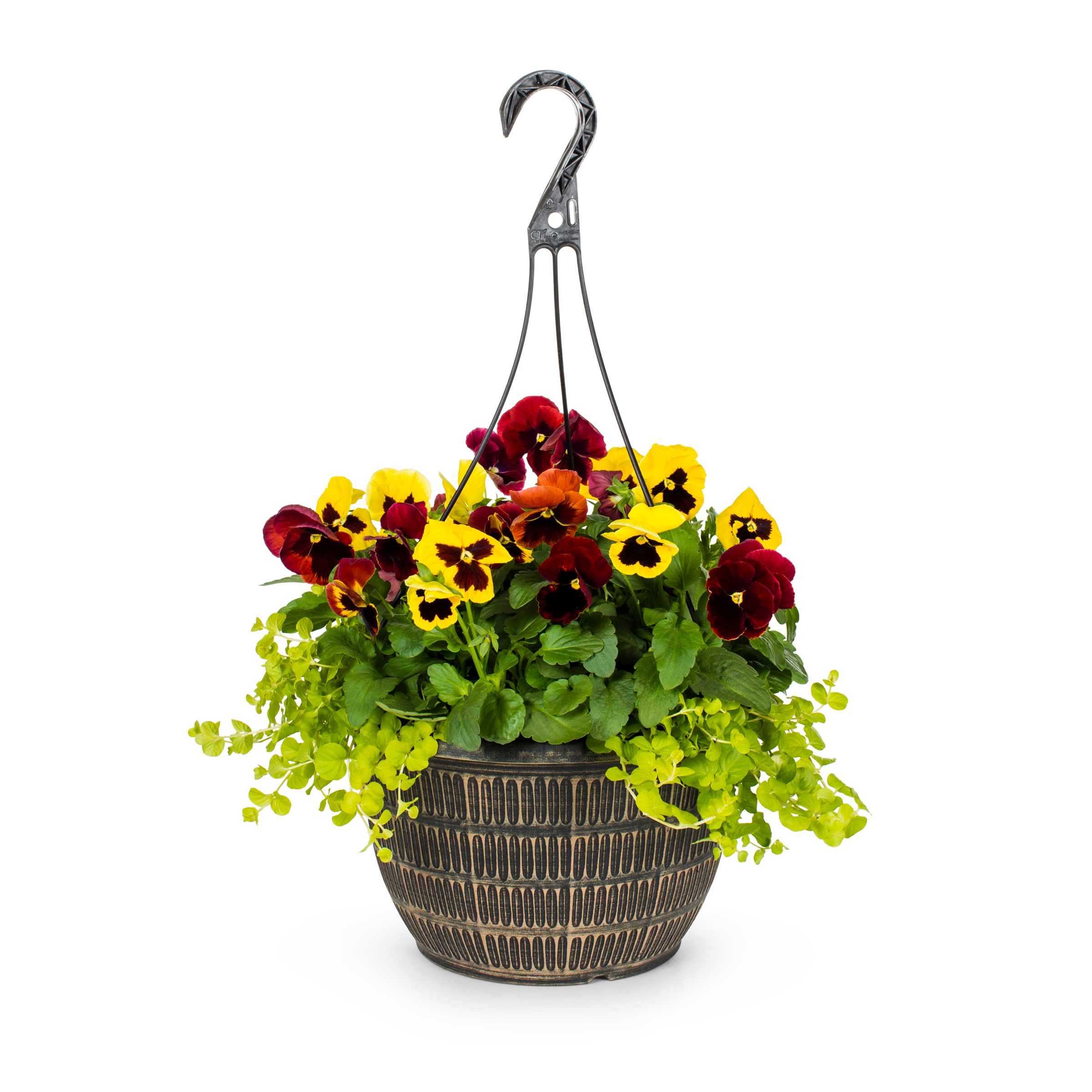 Lowe's Multicolor Mixed Annuals Combinations in 2-Gallon Hanging Basket ...