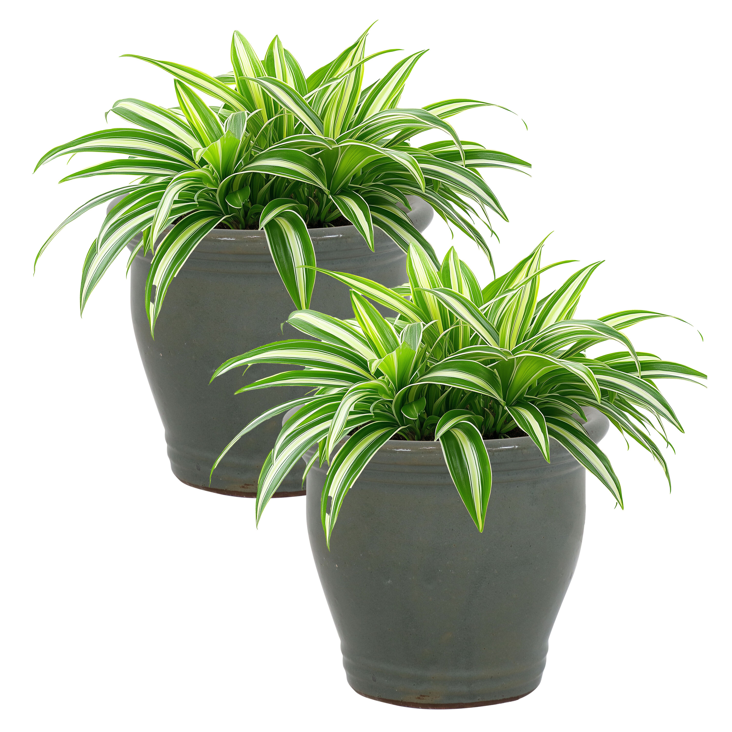 Sunnydaze Decor AP-995 Planter-Window-Box - View #4