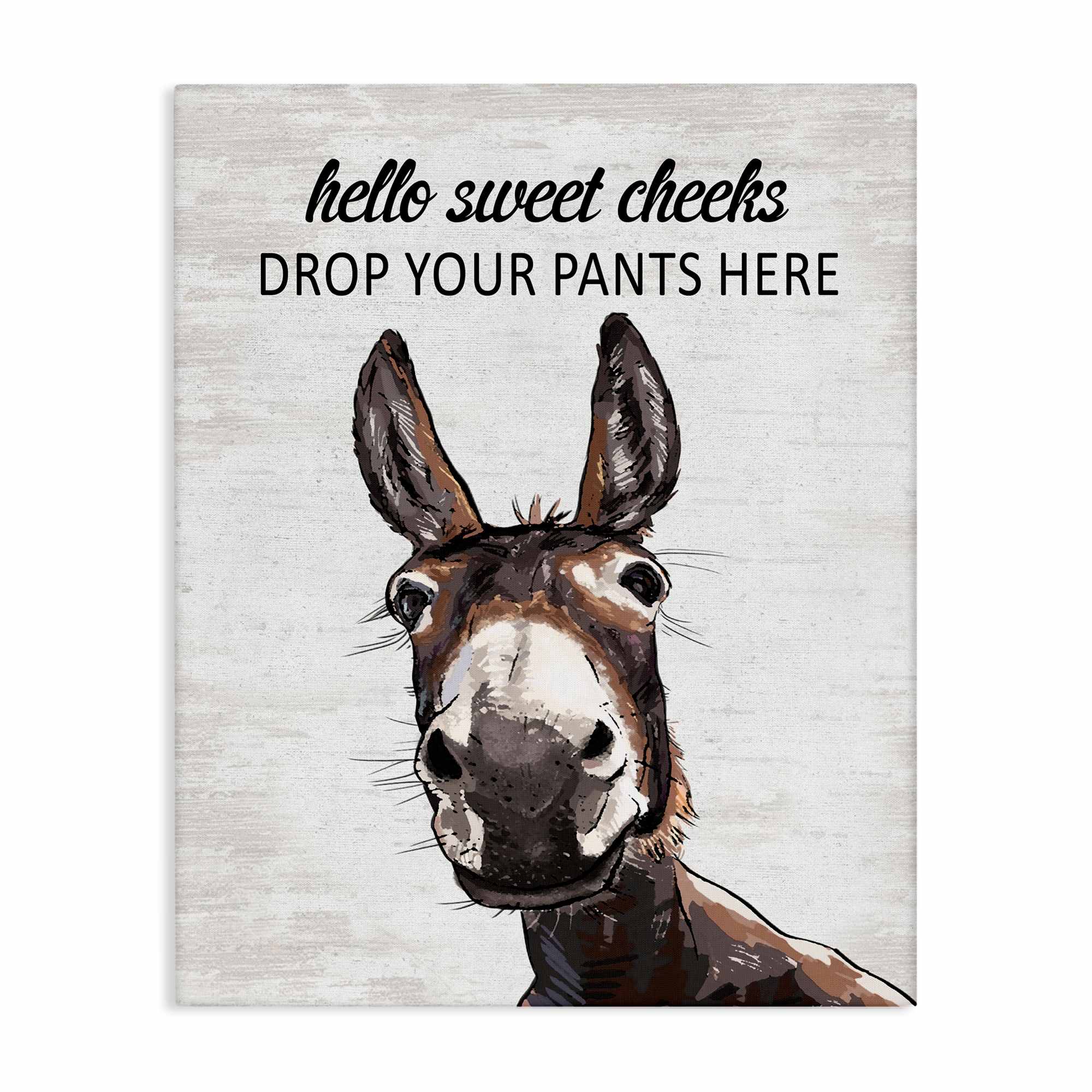 Stupell Industries BS-870-CN-36X48 Sweet Cheeks Laundry Donkey Canvas Wall Art By Lettered and Lined 36 x 48