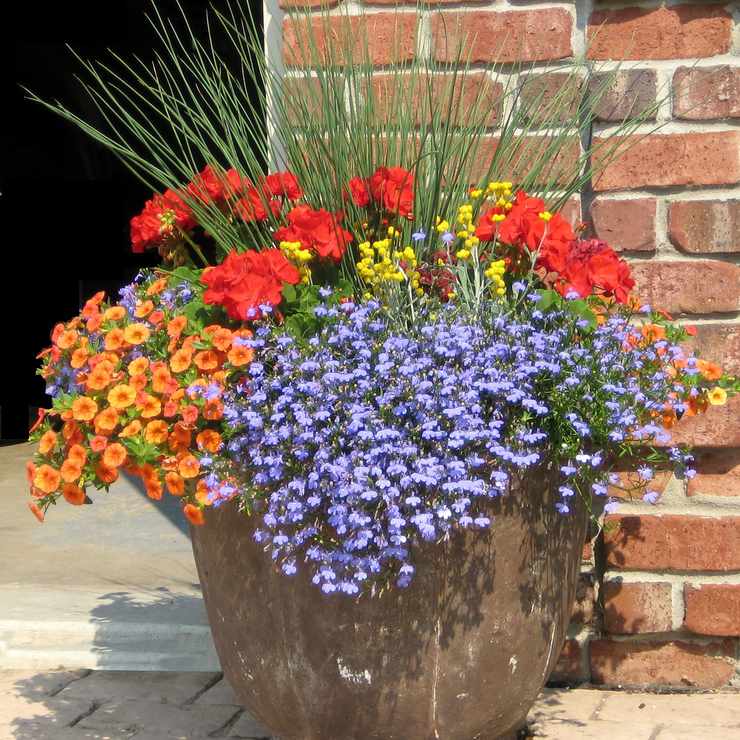 Proven Winners GRSPRW1387800 perennials - View #2