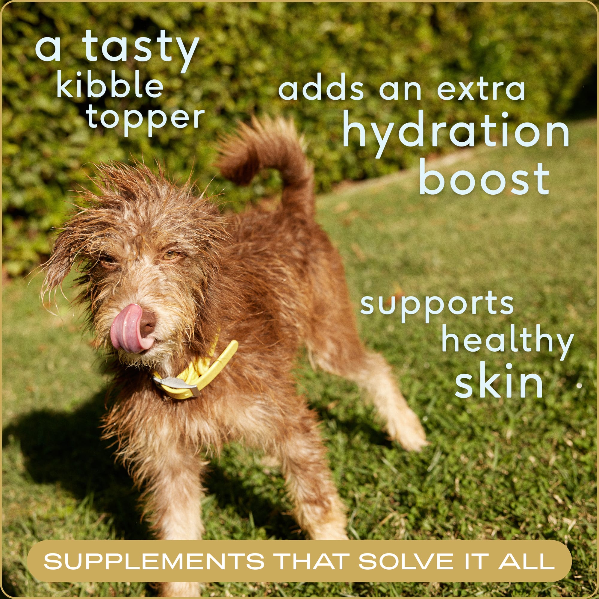 Native Pet PPD-BBBF-047OZ Pet-Vitamins-Suppliments - View #3