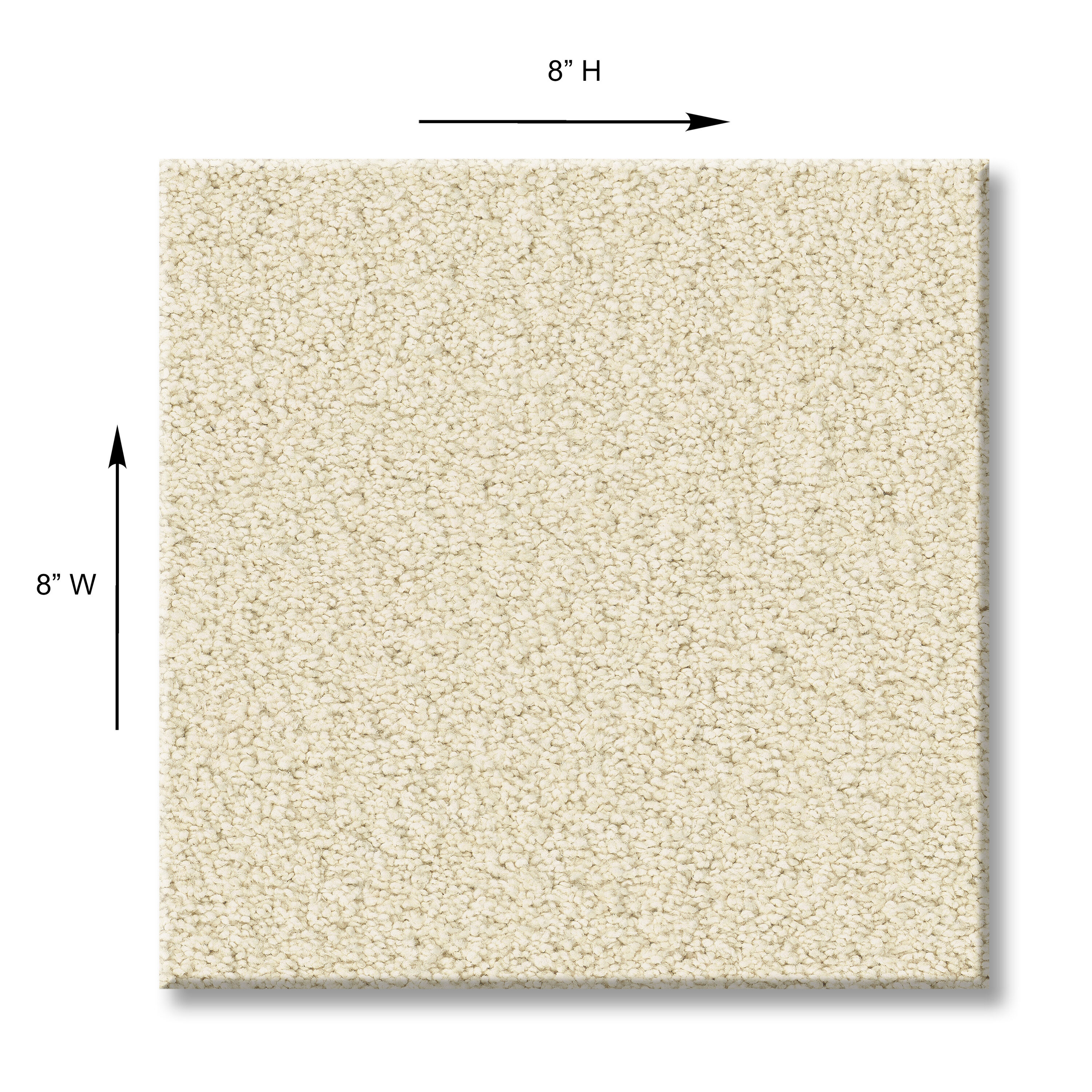 STAINMASTER 7L792-100-SAMP Carpet-Samples - View #4